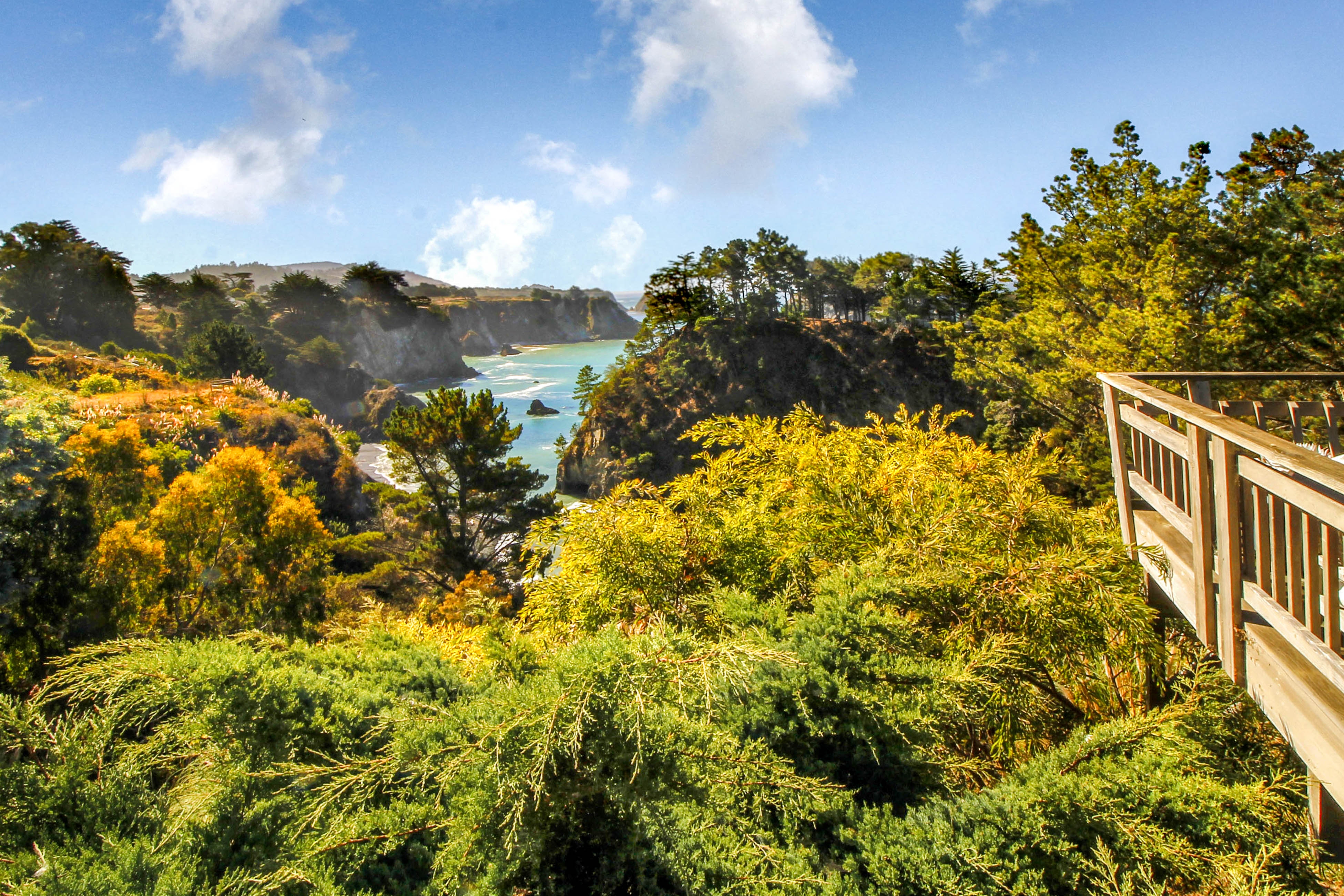 Oceanfront Elk House Bluff View, Deck, Near beach