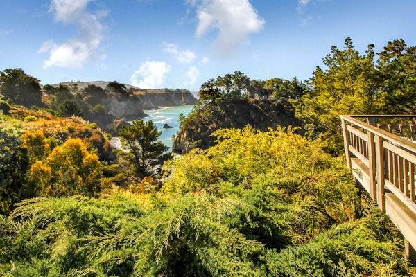 Oceanfront Elk House Bluff View, Deck, Near beach