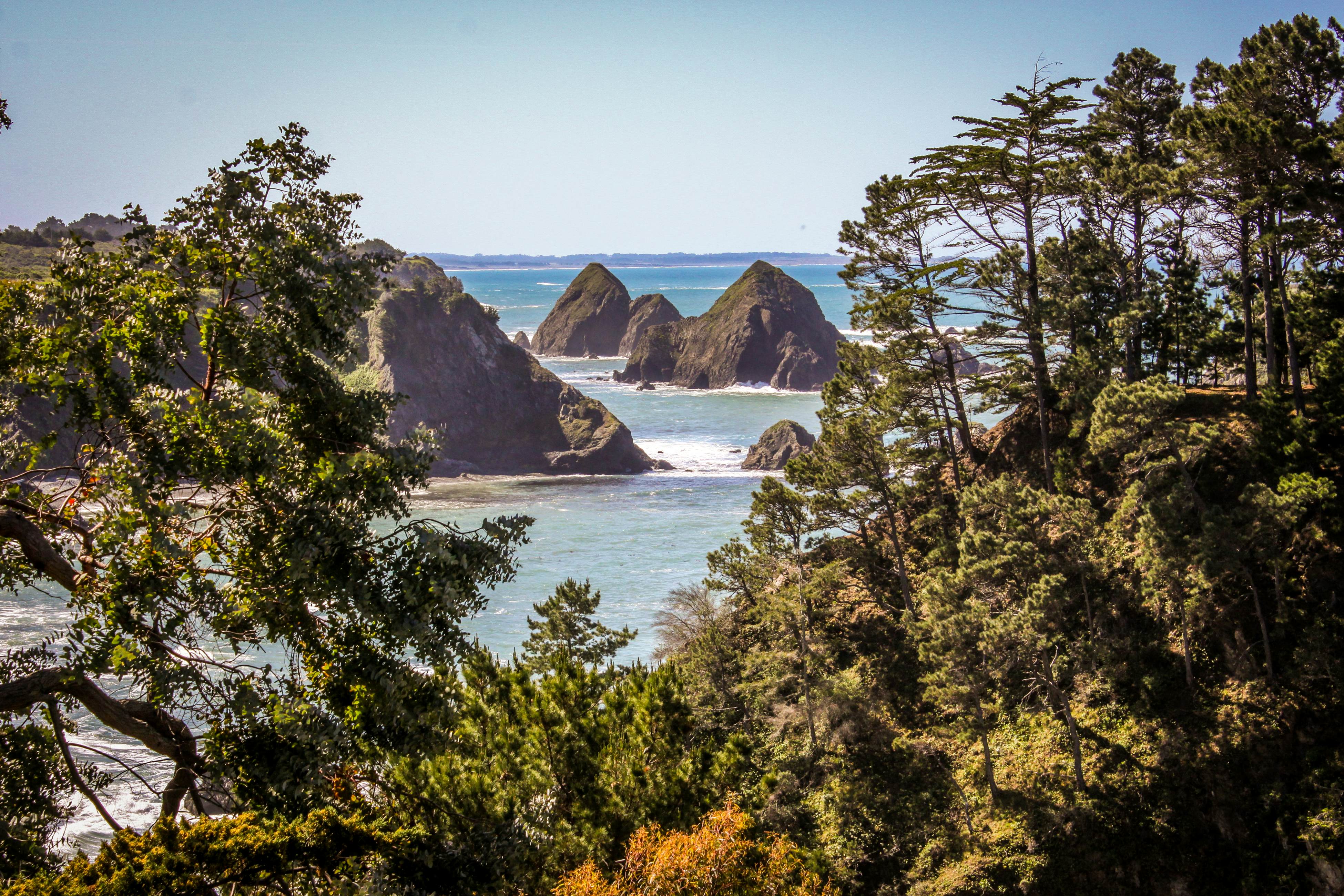 Stunning Elk House: Oceanfront, Deck & Views