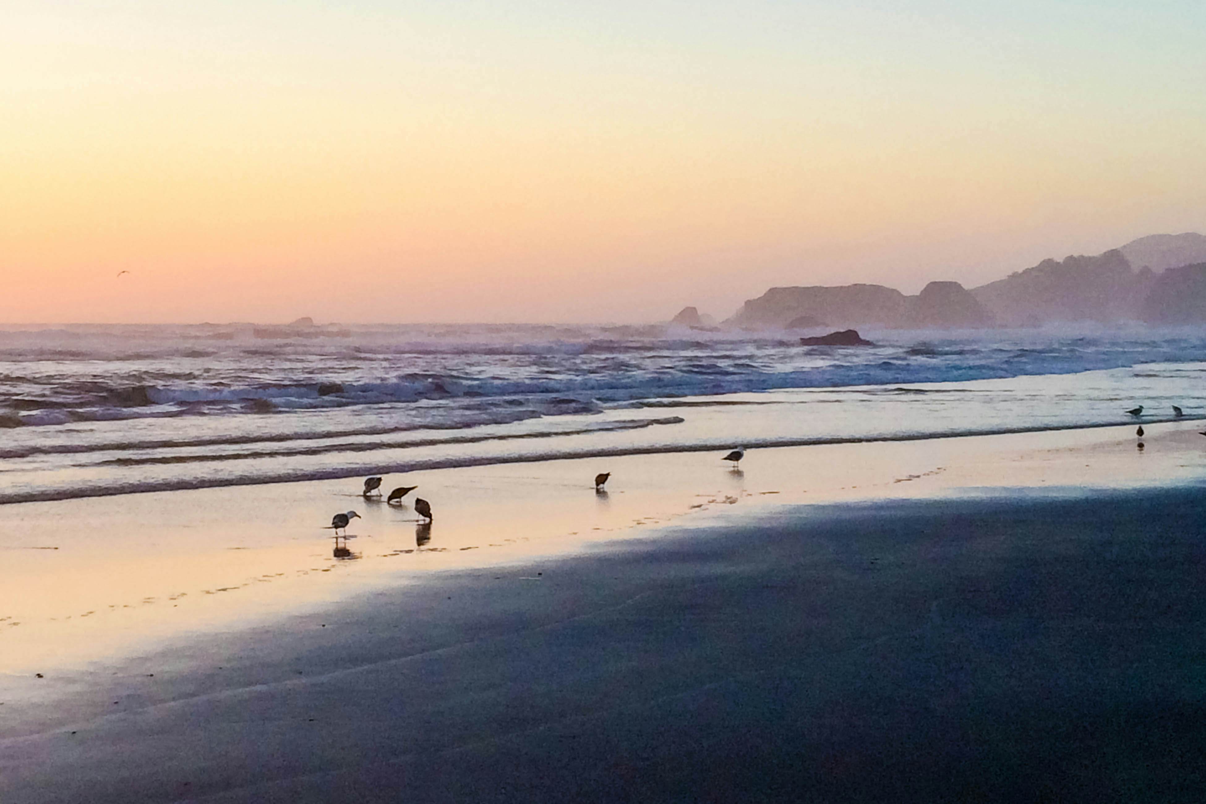 Oceanfront Haven: Hot Tub & Private Beach Access