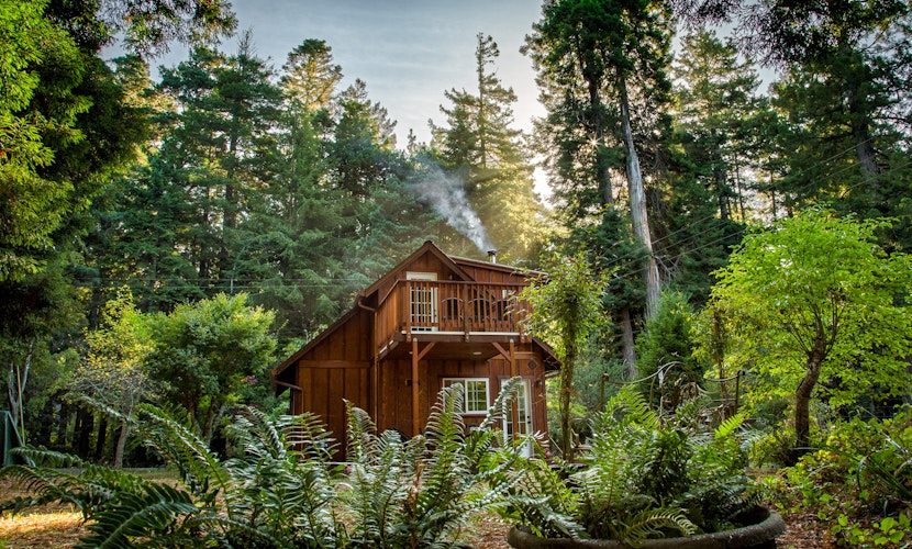 Magical Redwood Getaway-Outdoor Tub & Dog-Friendly
