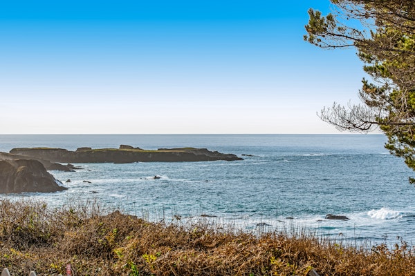 Mendocino Studio walkable to Headlands State Park