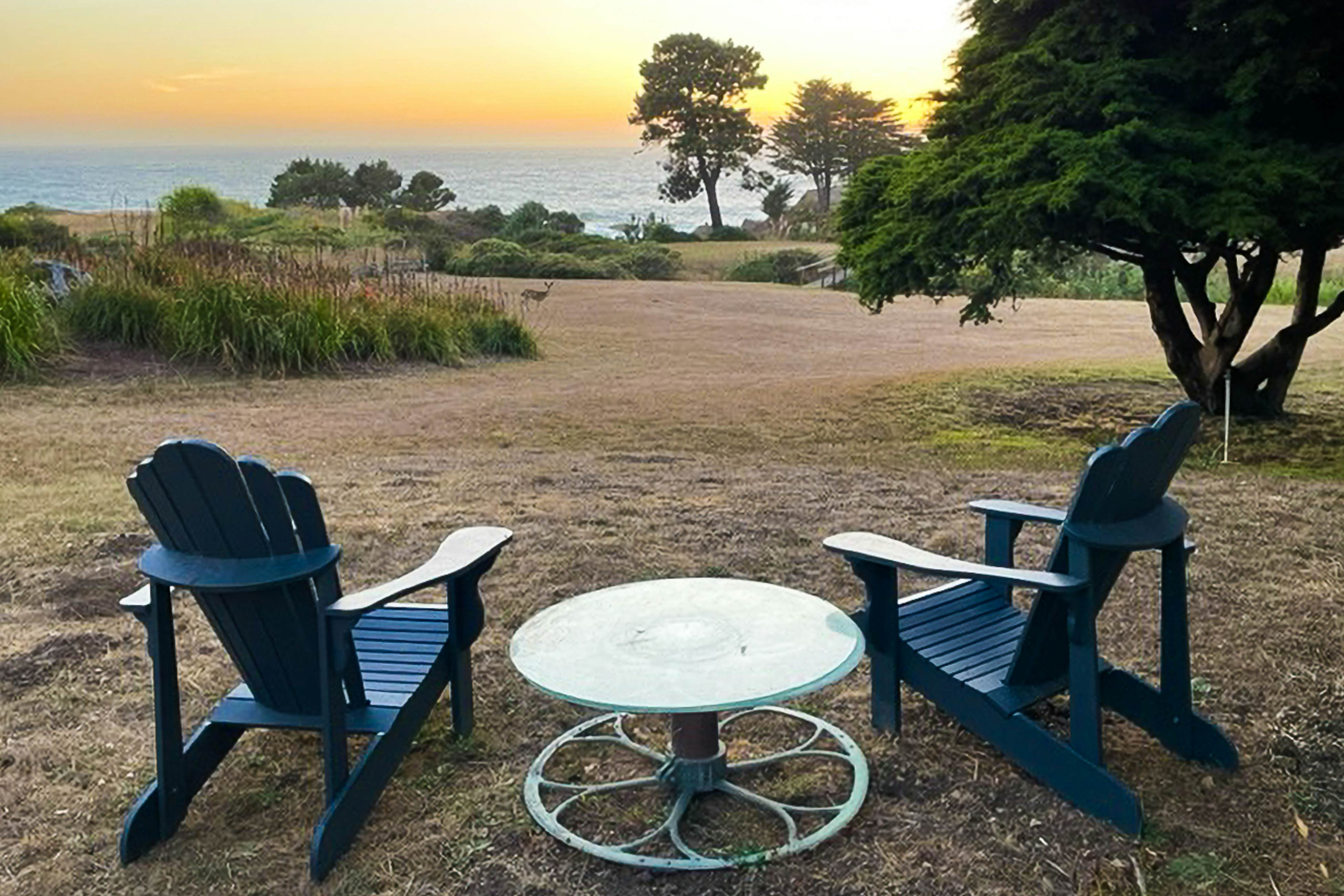 Mendocino Oceanfront: Fireplace, Dog-Friendly Home