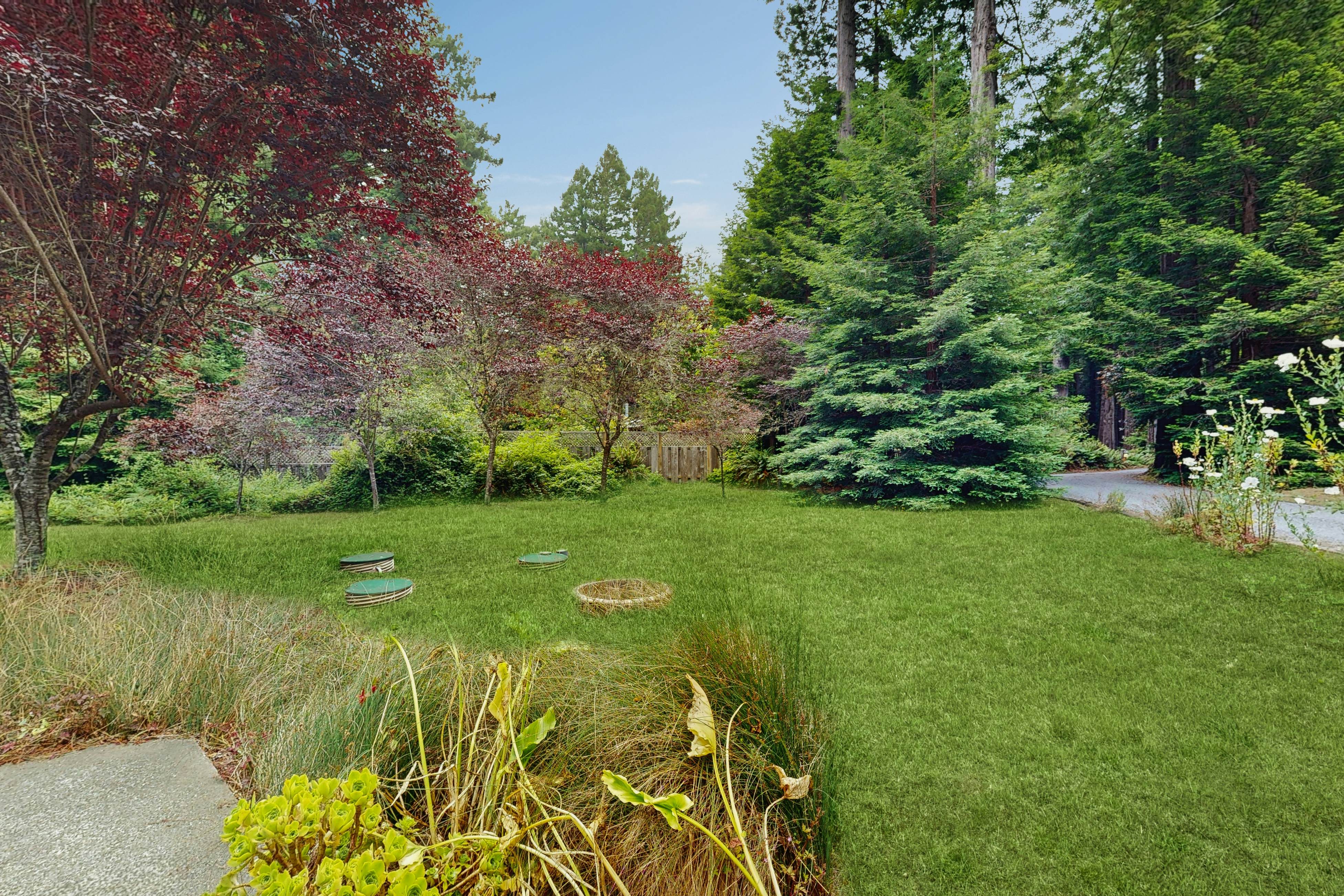Cozy Forest View Home: Pet-Friendly, Large Deck 
