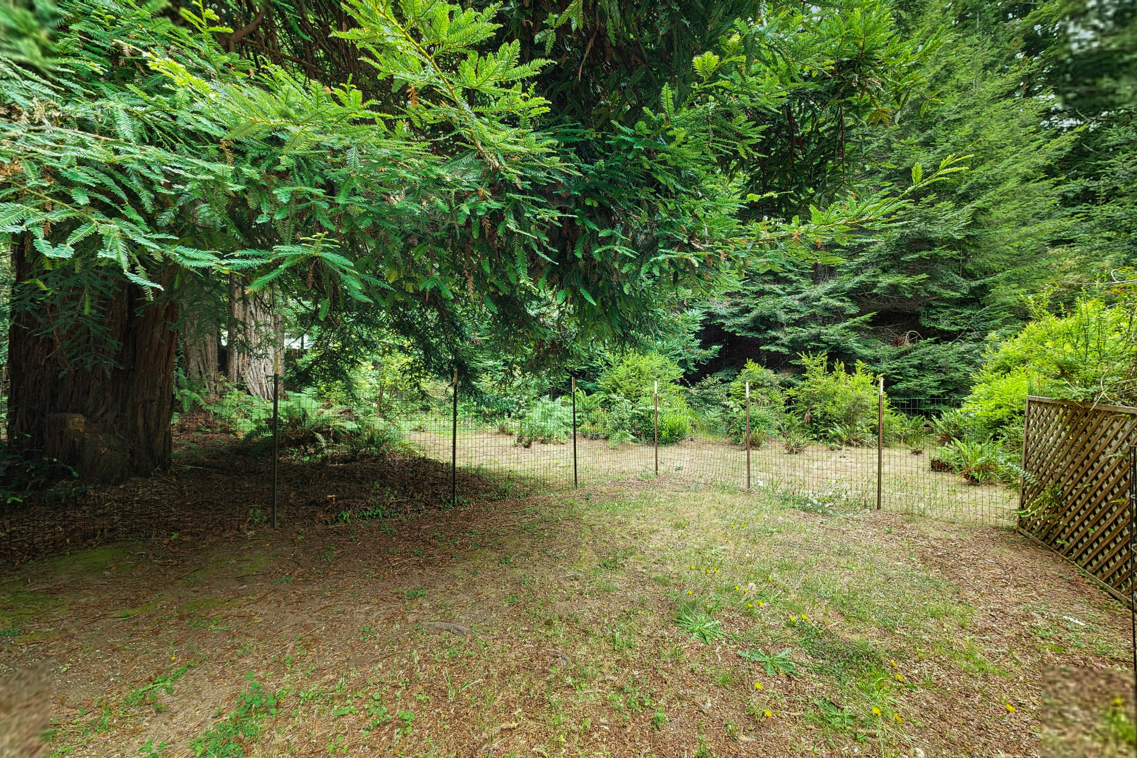 Cozy Forest View Home: Pet-Friendly, Large Deck 