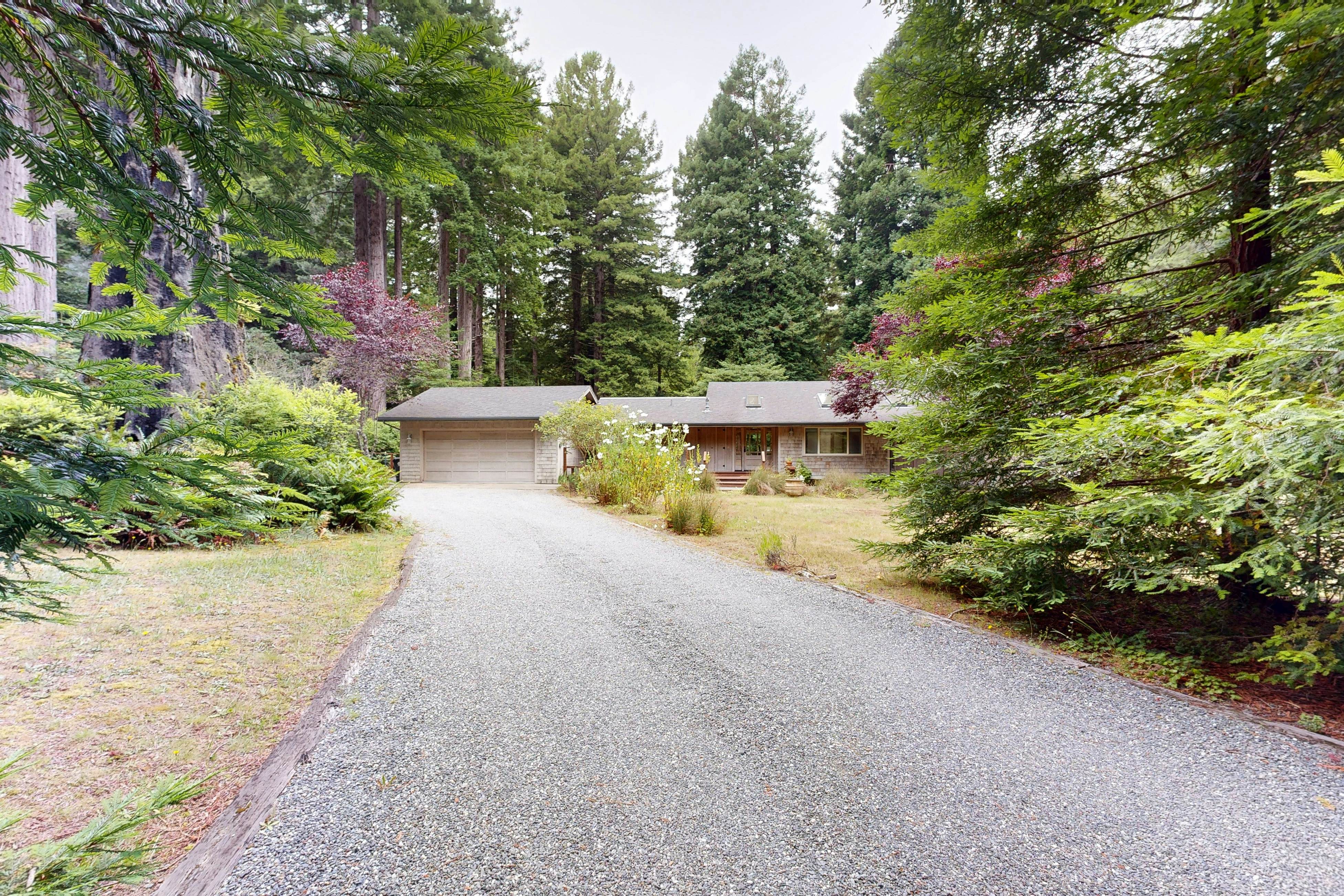 Cozy Forest View Home: Pet-Friendly, Large Deck 