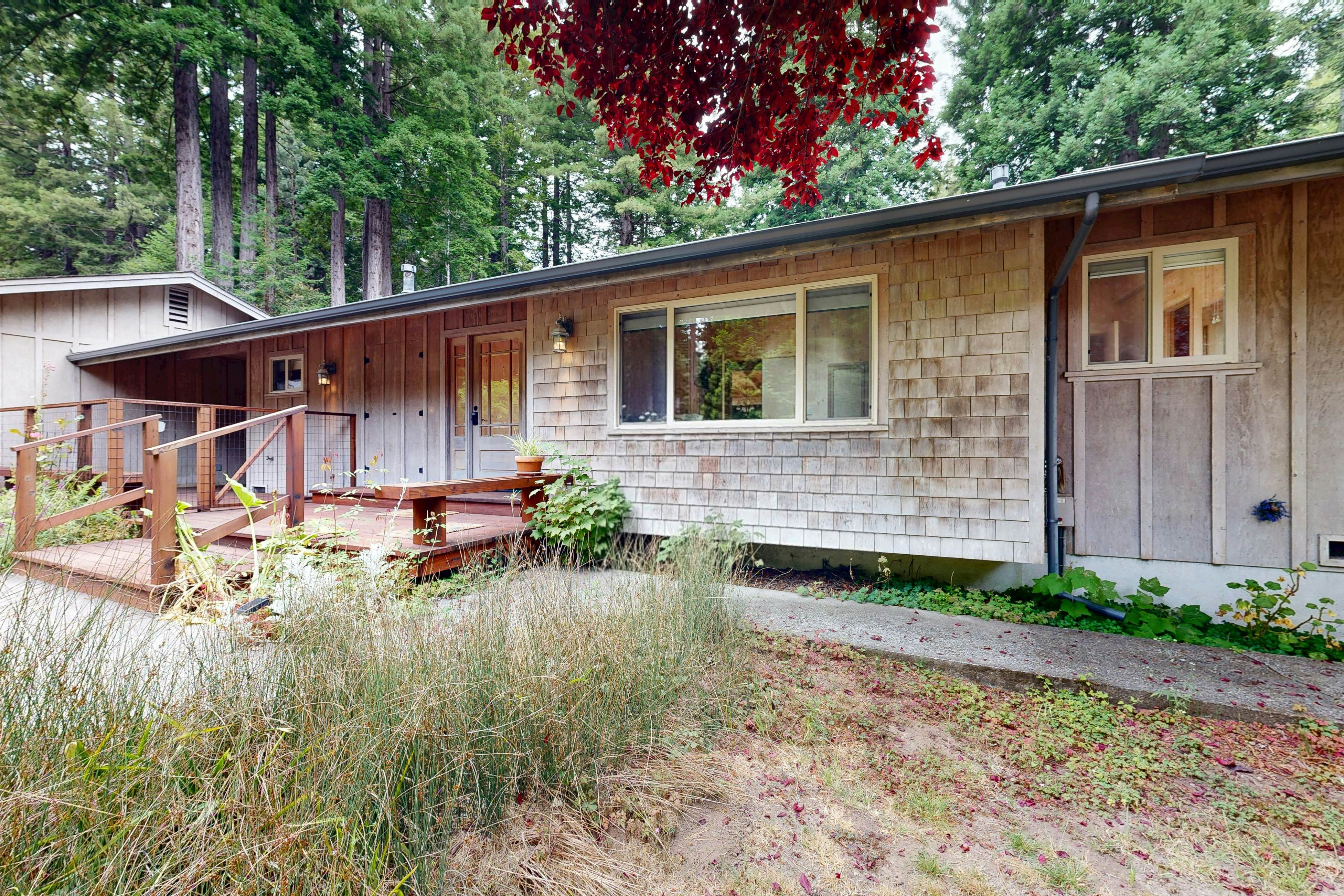 Cozy Forest View Home: Pet-Friendly, Large Deck 