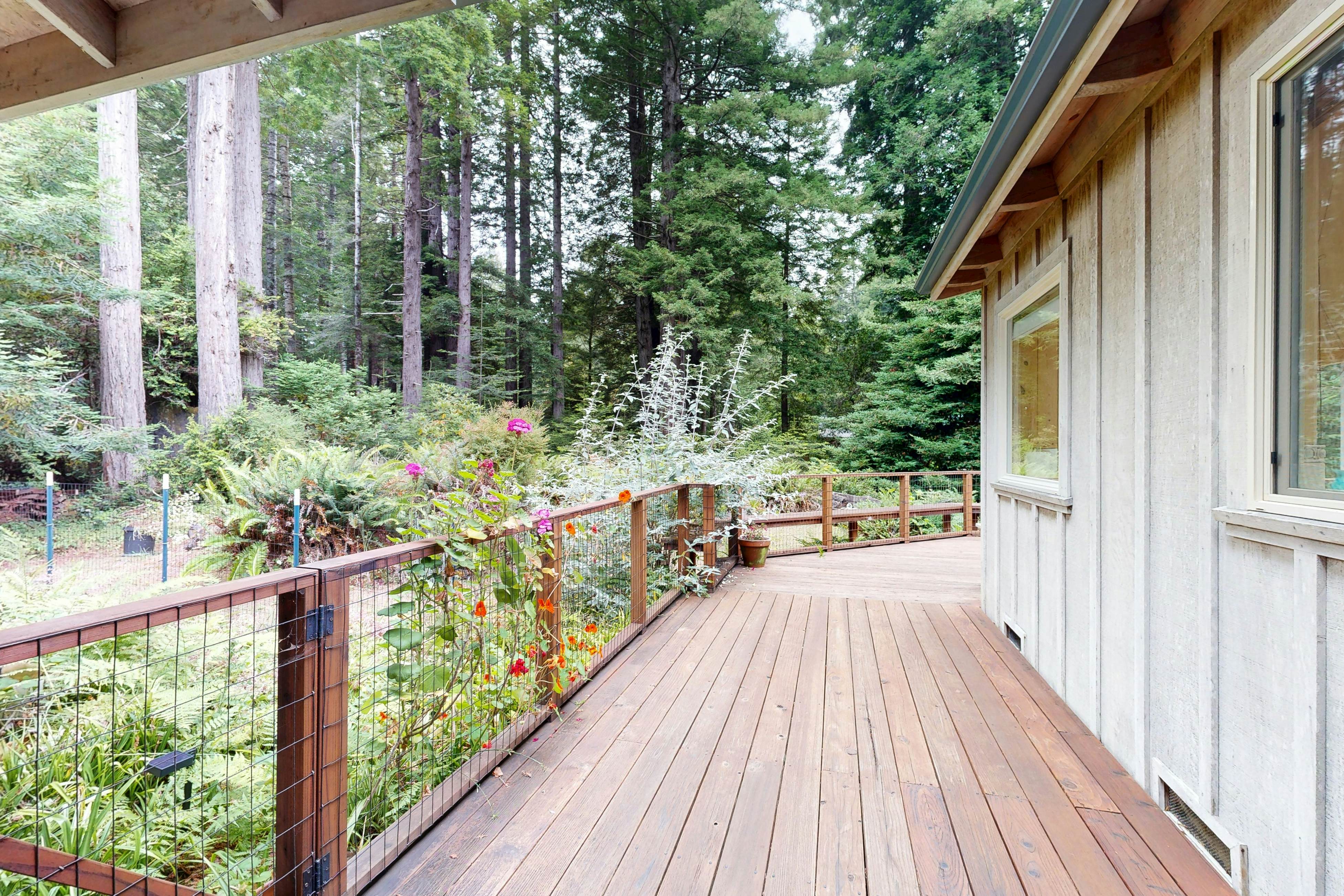 Cozy Forest View Home: Pet-Friendly, Large Deck 
