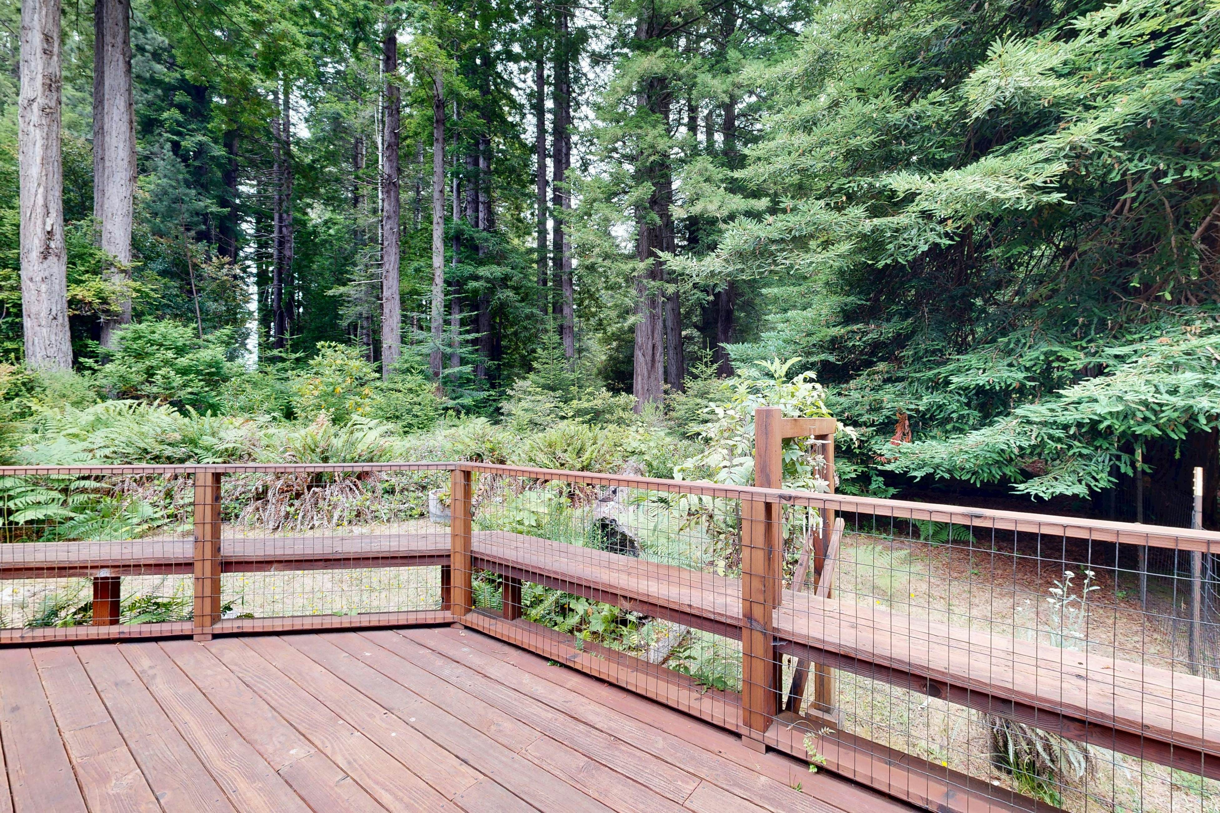 Cozy Forest View Home: Pet-Friendly, Large Deck 