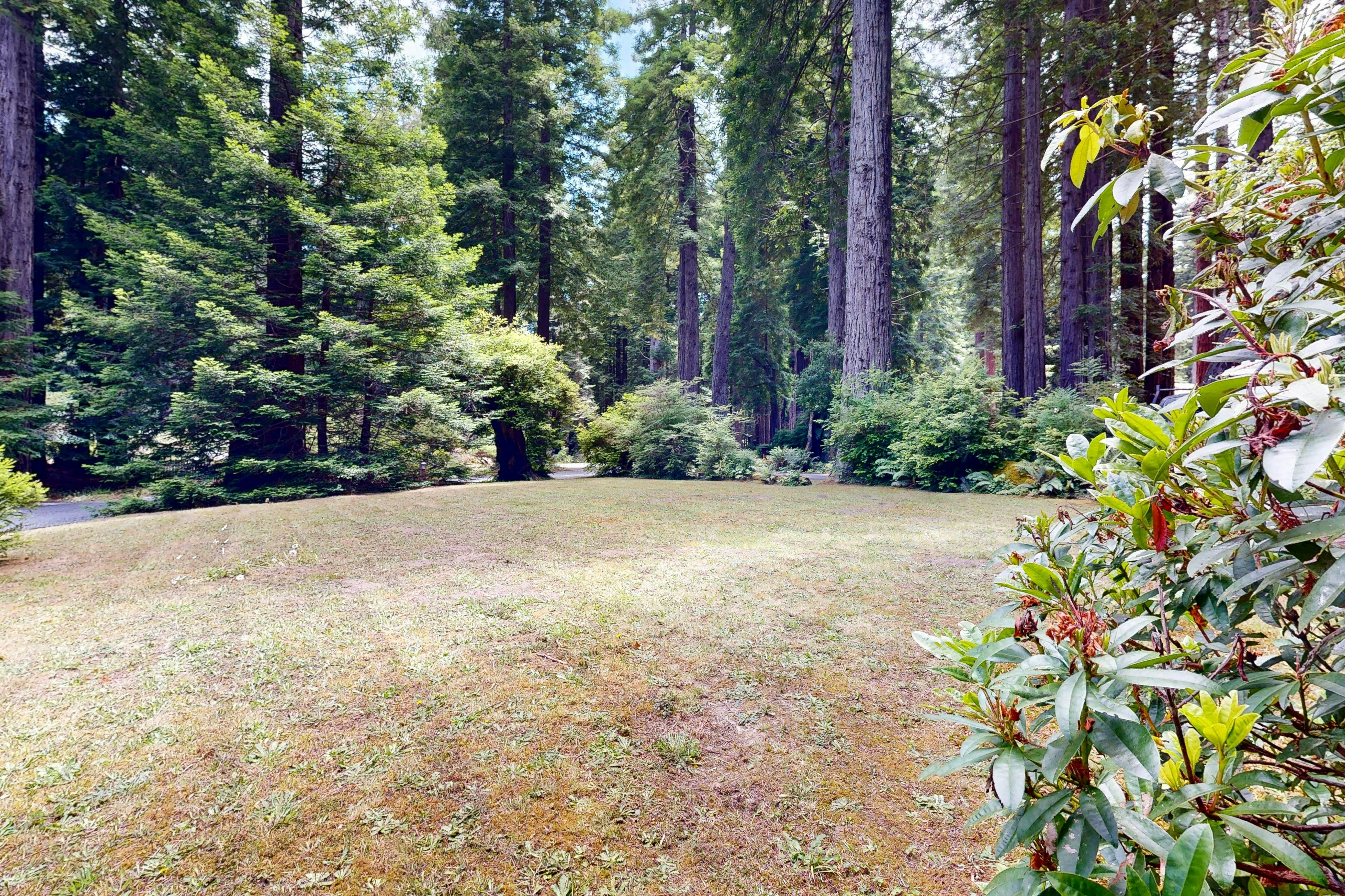 Cozy Forest View Home: Pet-Friendly, Large Deck 