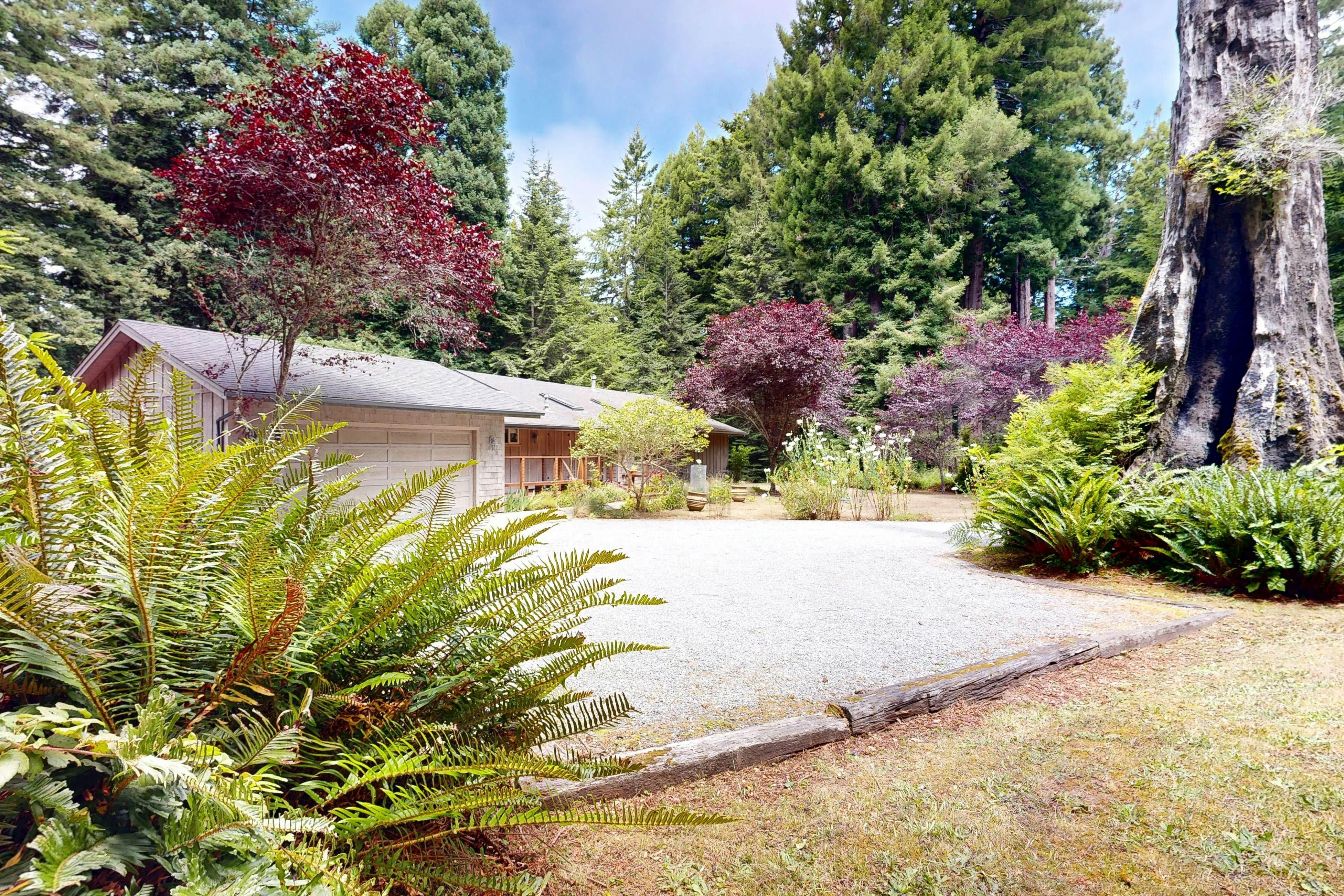 Cozy Forest View Home: Pet-Friendly, Large Deck 
