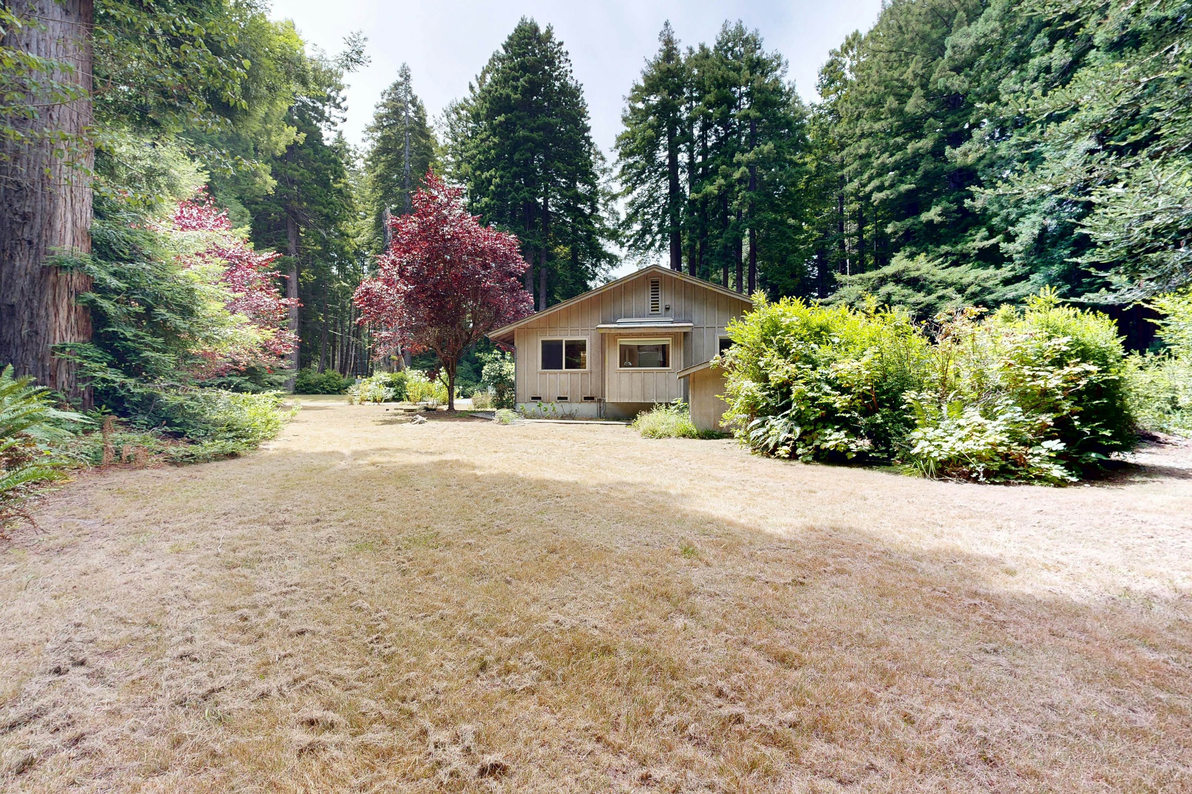 Cozy Forest View Home: Pet-Friendly, Large Deck 