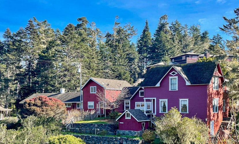 Mendocino Retreat with Hot Tub & 2 Kitchens