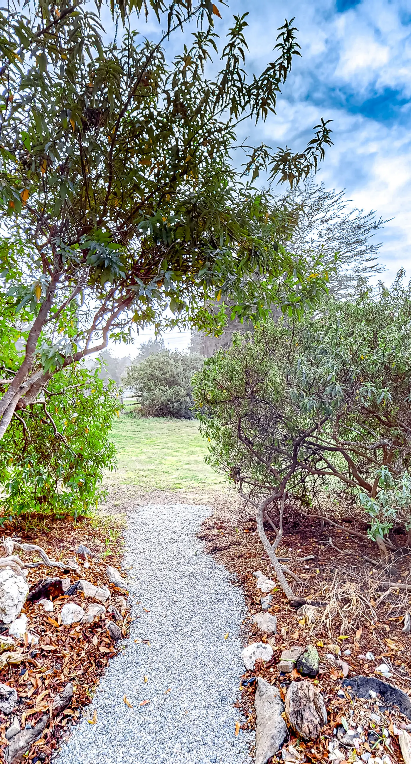 Eco-Conscious Home with Spacious Yard & EV Charger