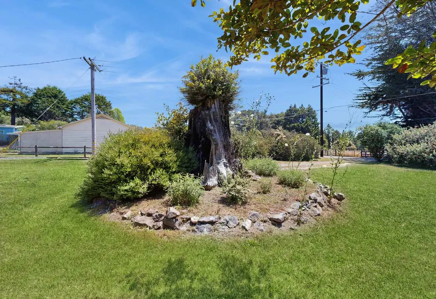 Eco-Conscious Home with Spacious Yard & EV Charger