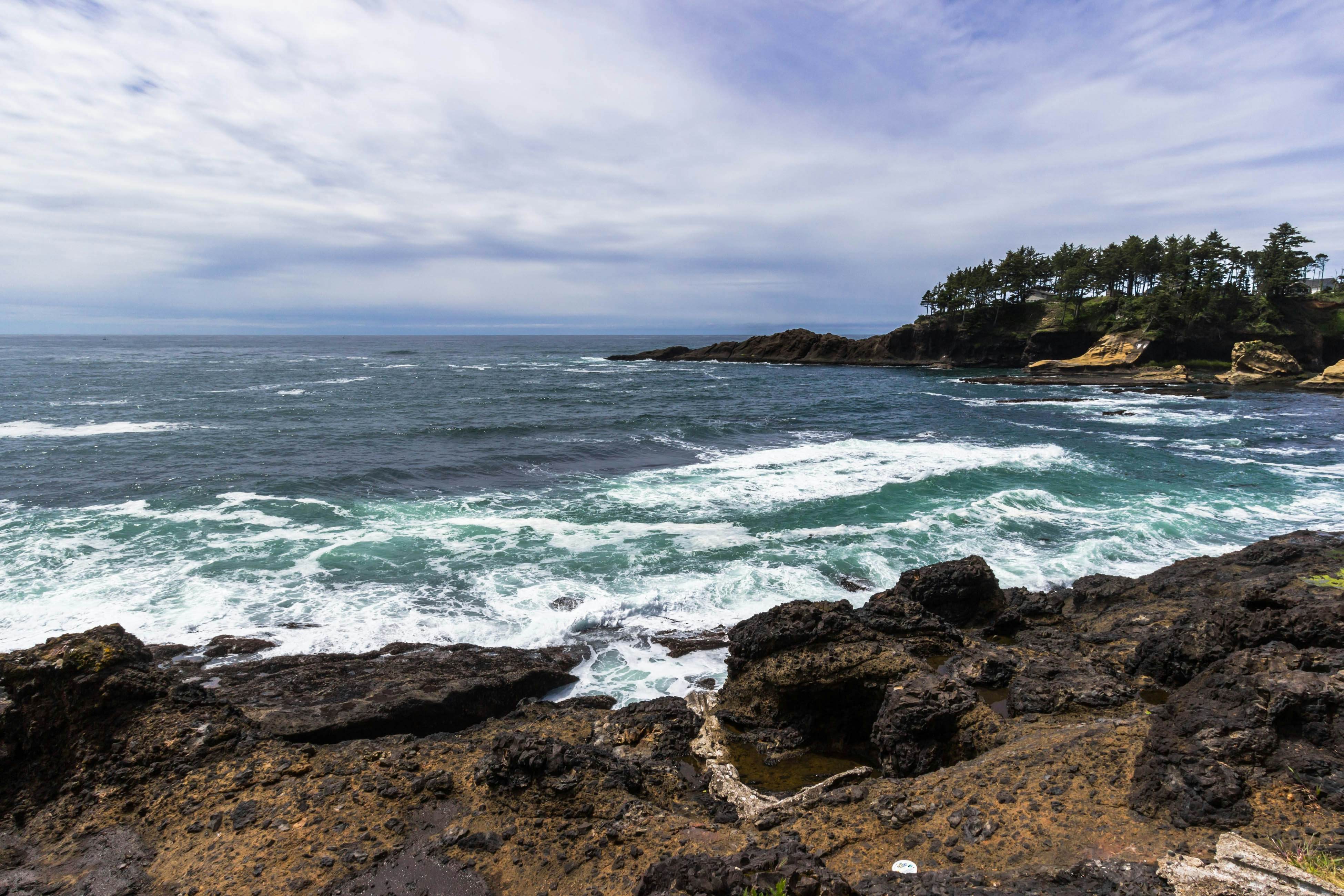 Dog-friendly ocean-view cabin with fireplace, kitchenette, deck, & beach access