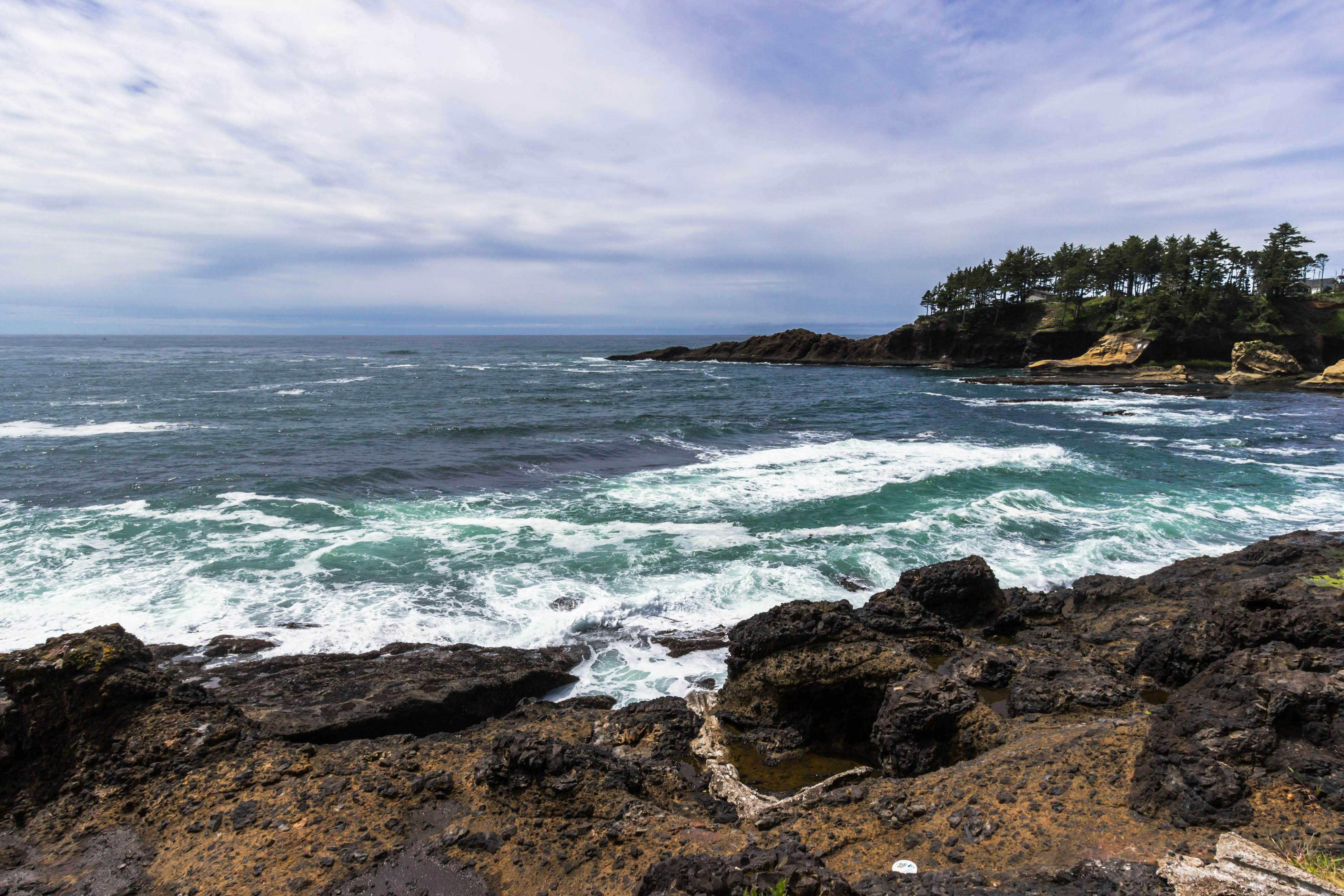 Oceanfront dog-friendly home with coastal views, telescope, walkable location