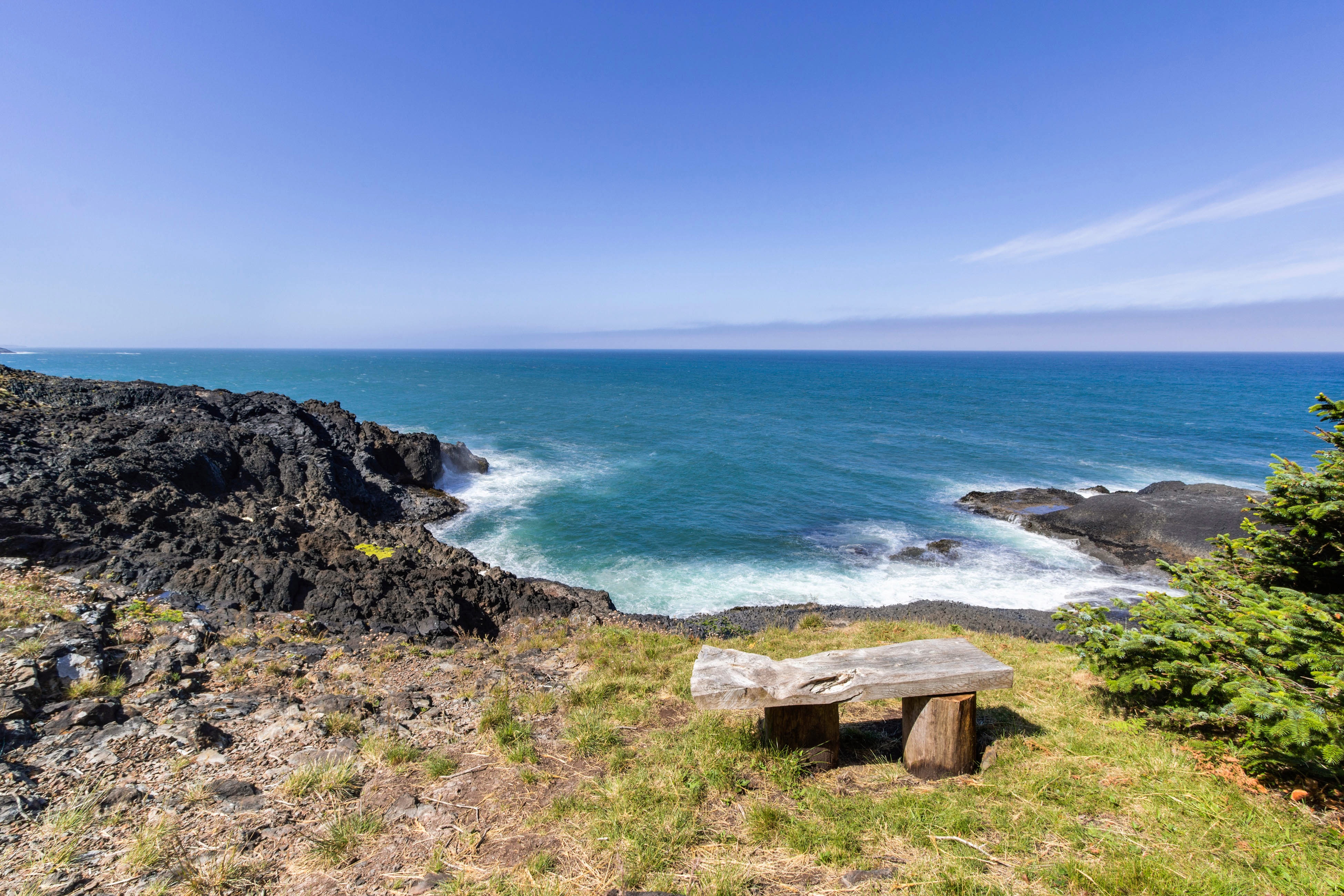 Dog friendly cottage with amazing ocean views whale watching