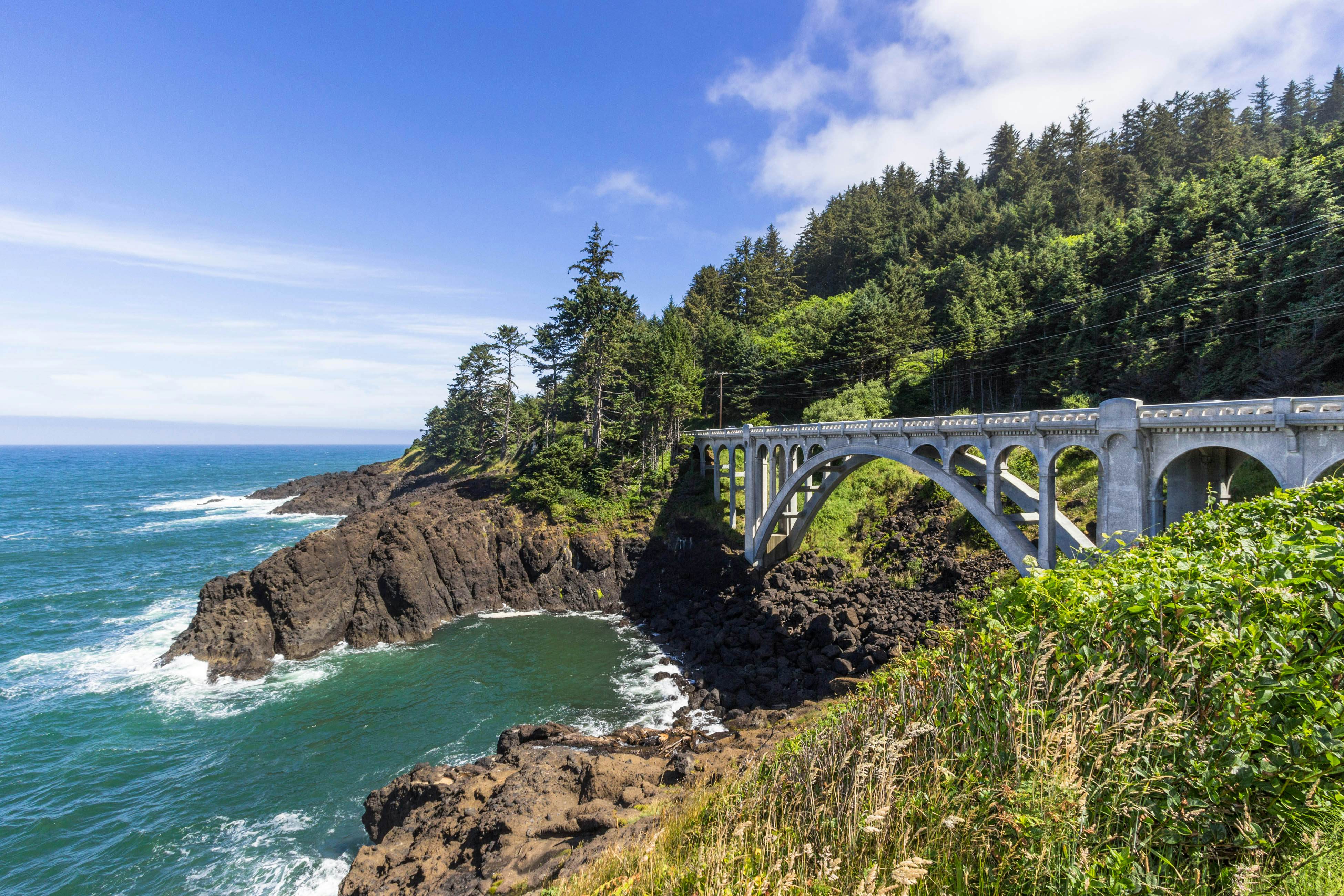 Dog-friendly cottage with amazing ocean views, whale watching