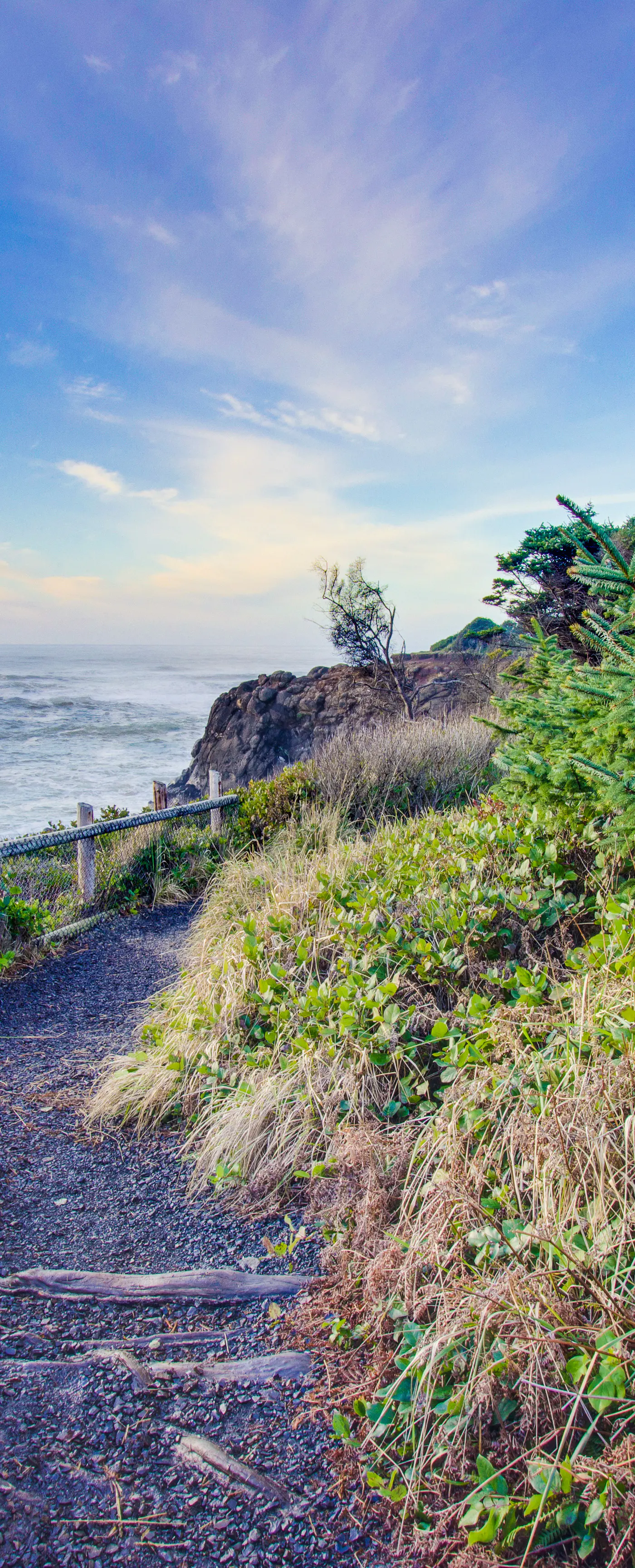 Homey dog friendly house with partial ocean views gas fireplaces and gas grill