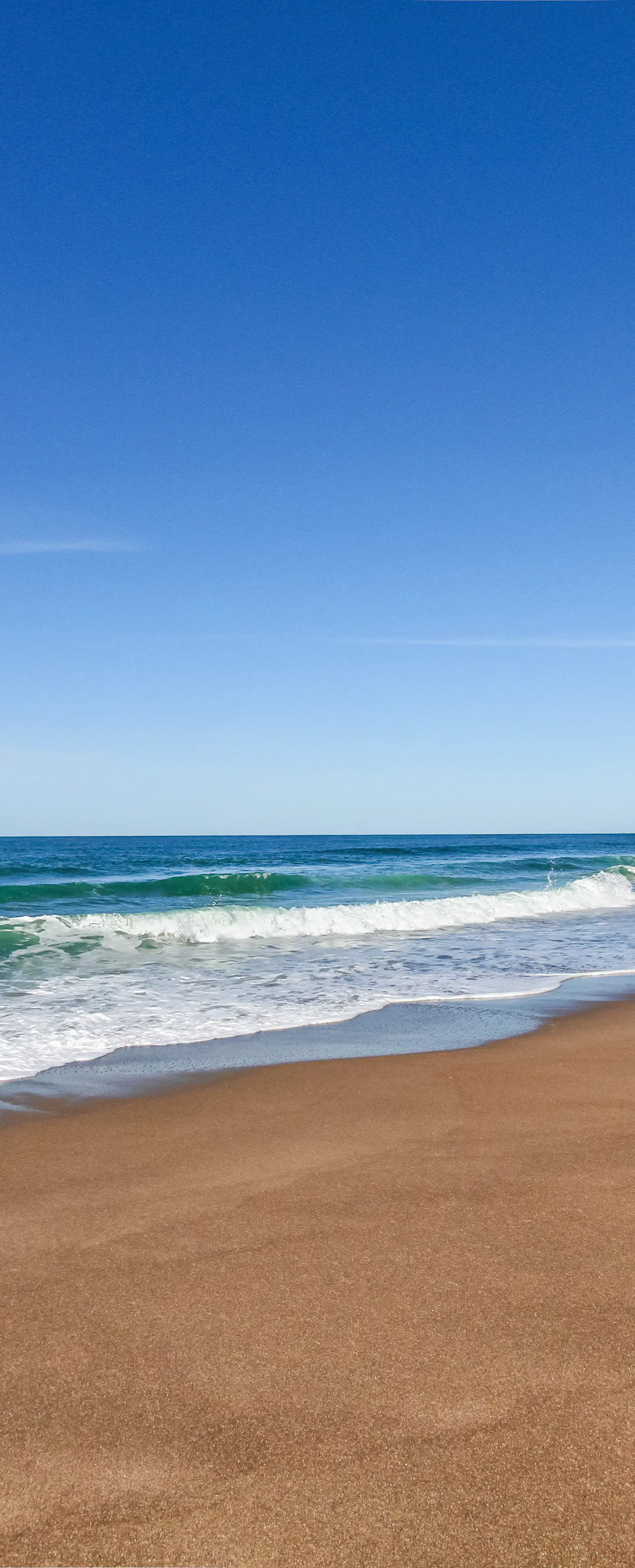 Homey dog friendly house with partial ocean views gas fireplaces and gas grill