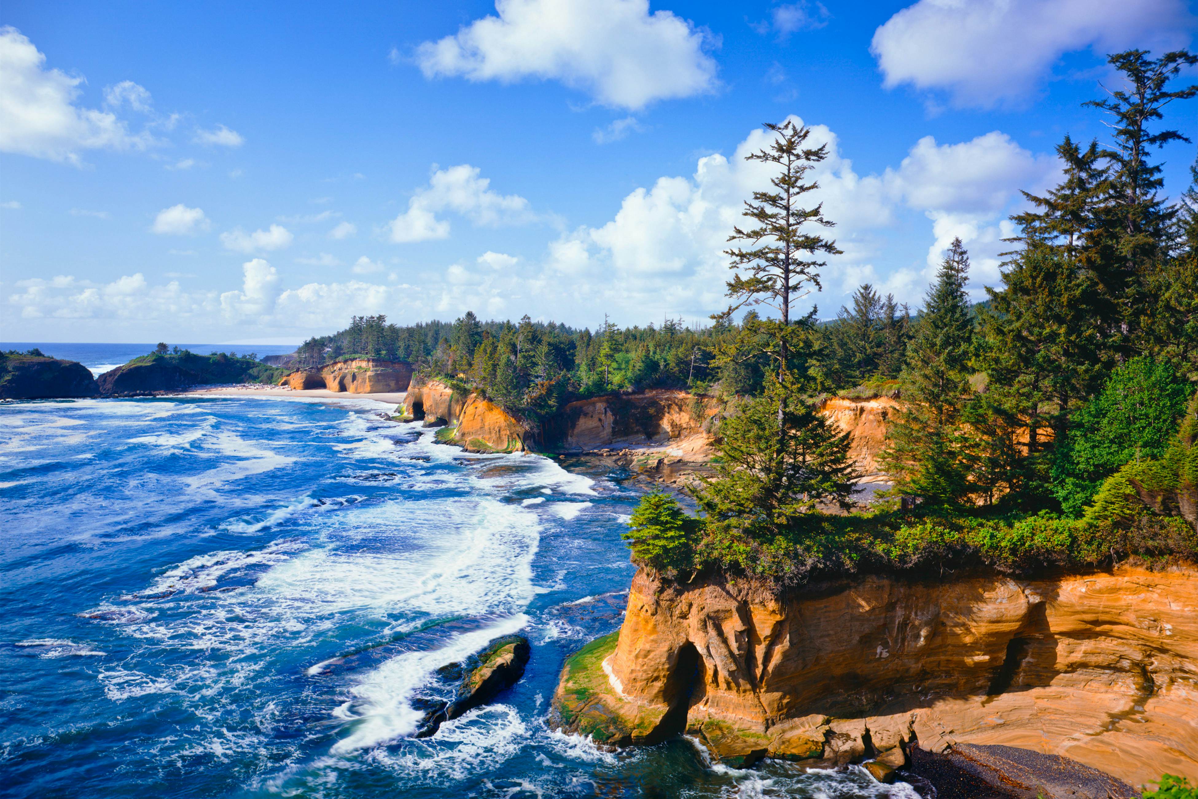 Bella Beach Home with private hot tub - walk to beach, park & cafe