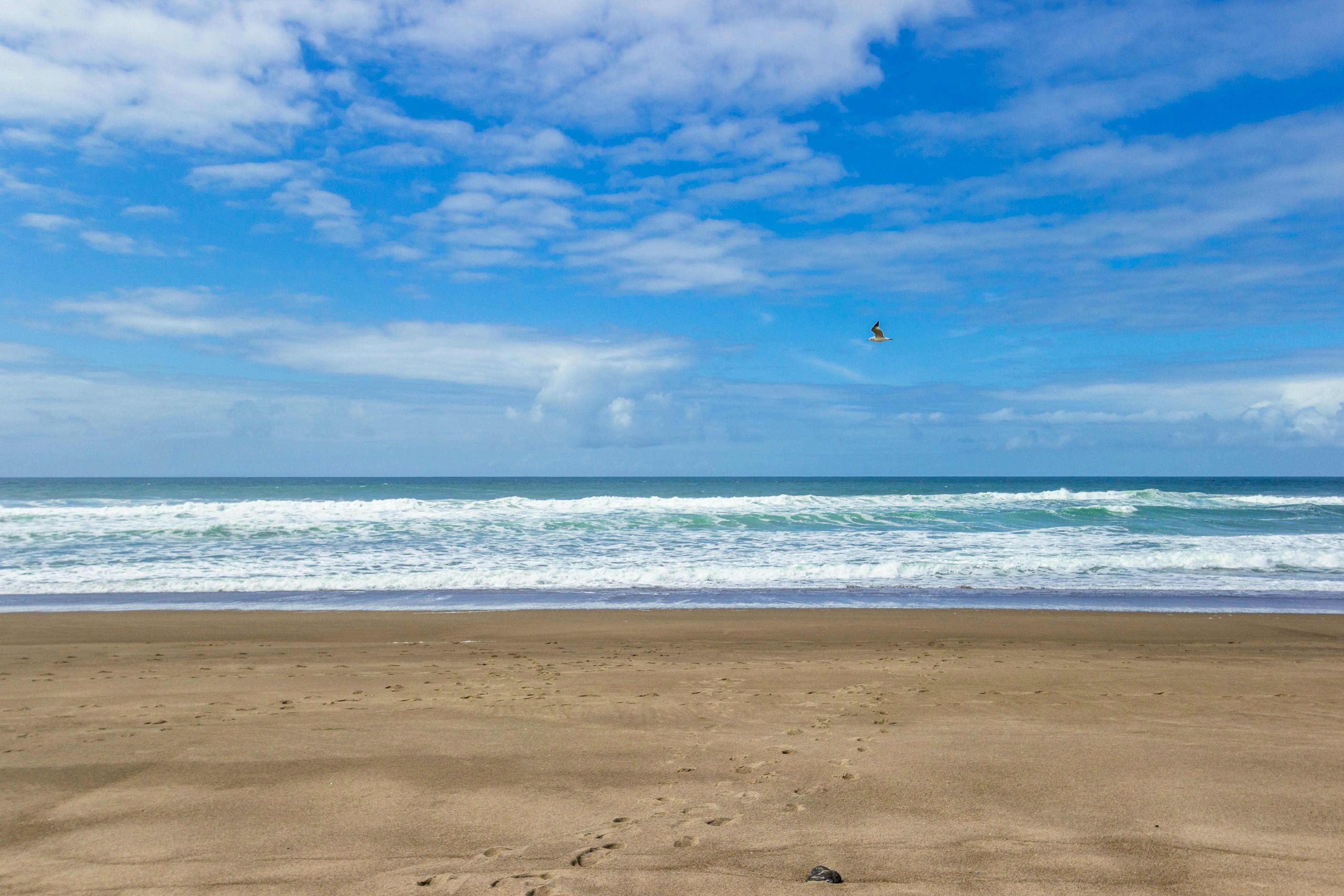 Impressive oceanfront home with great views - dog-friendly