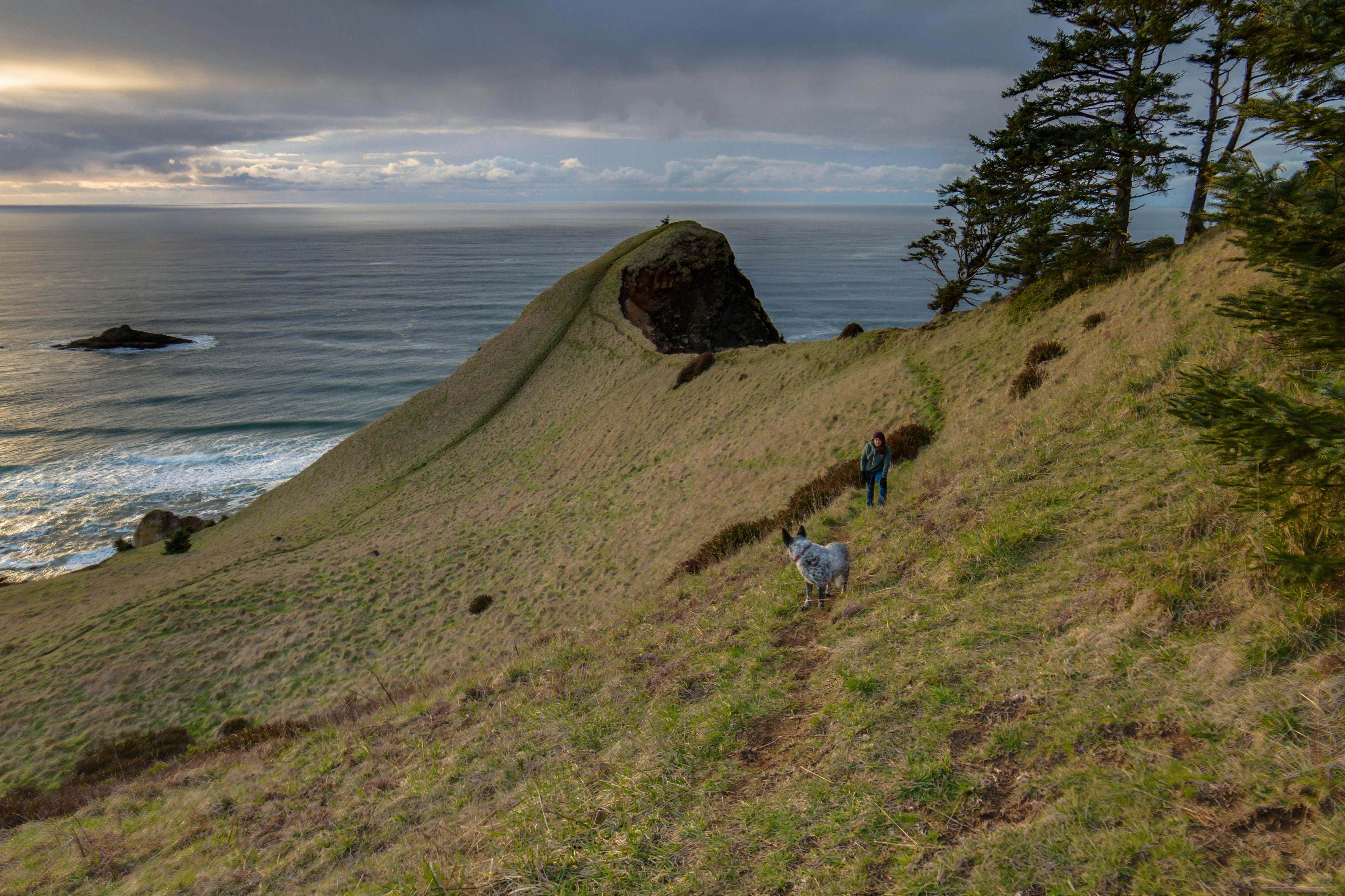 Sunlit home with gorgeous ocean views big decks and hot tub