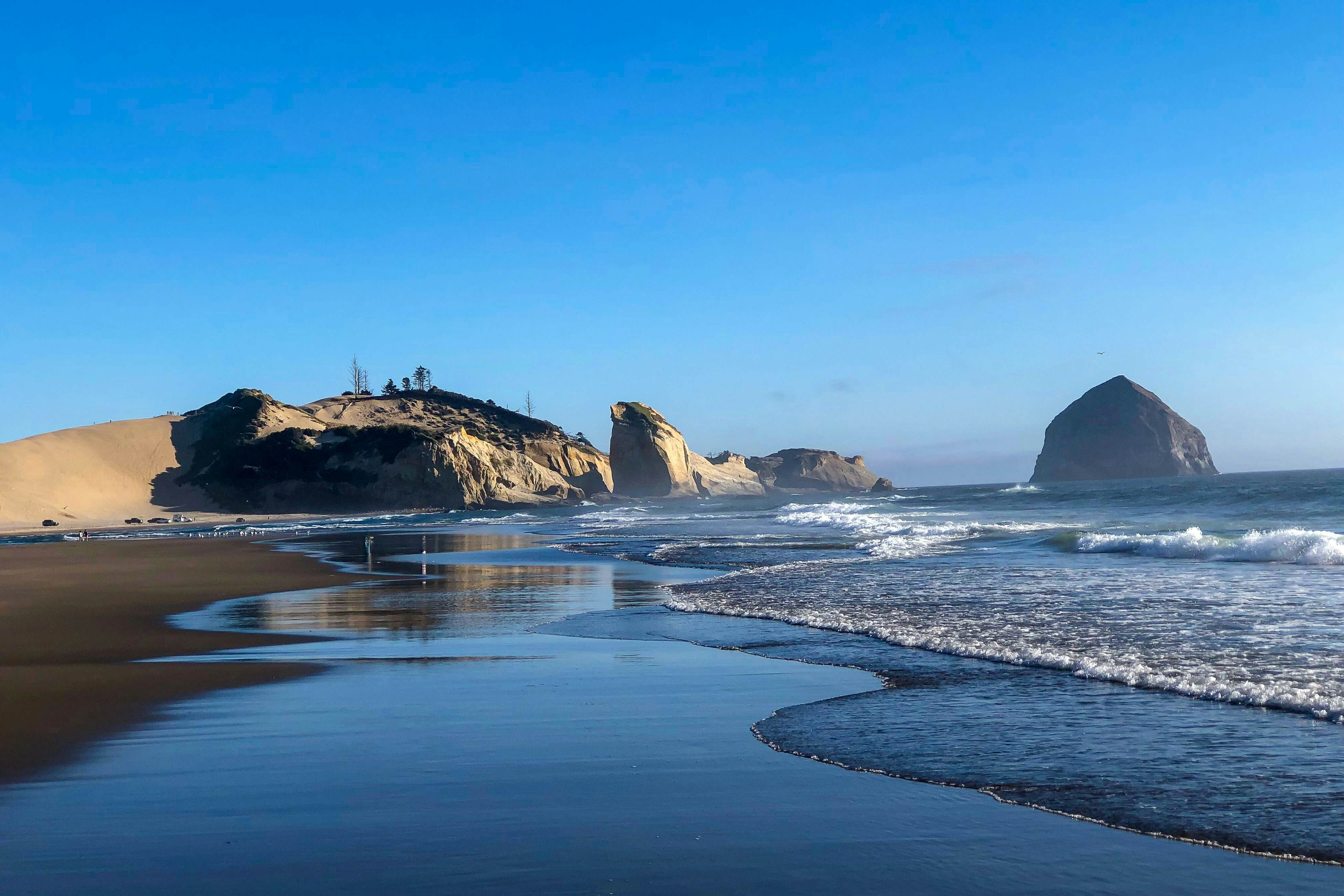 Dog-friendly, brand-new shipping container home, steps from the beach