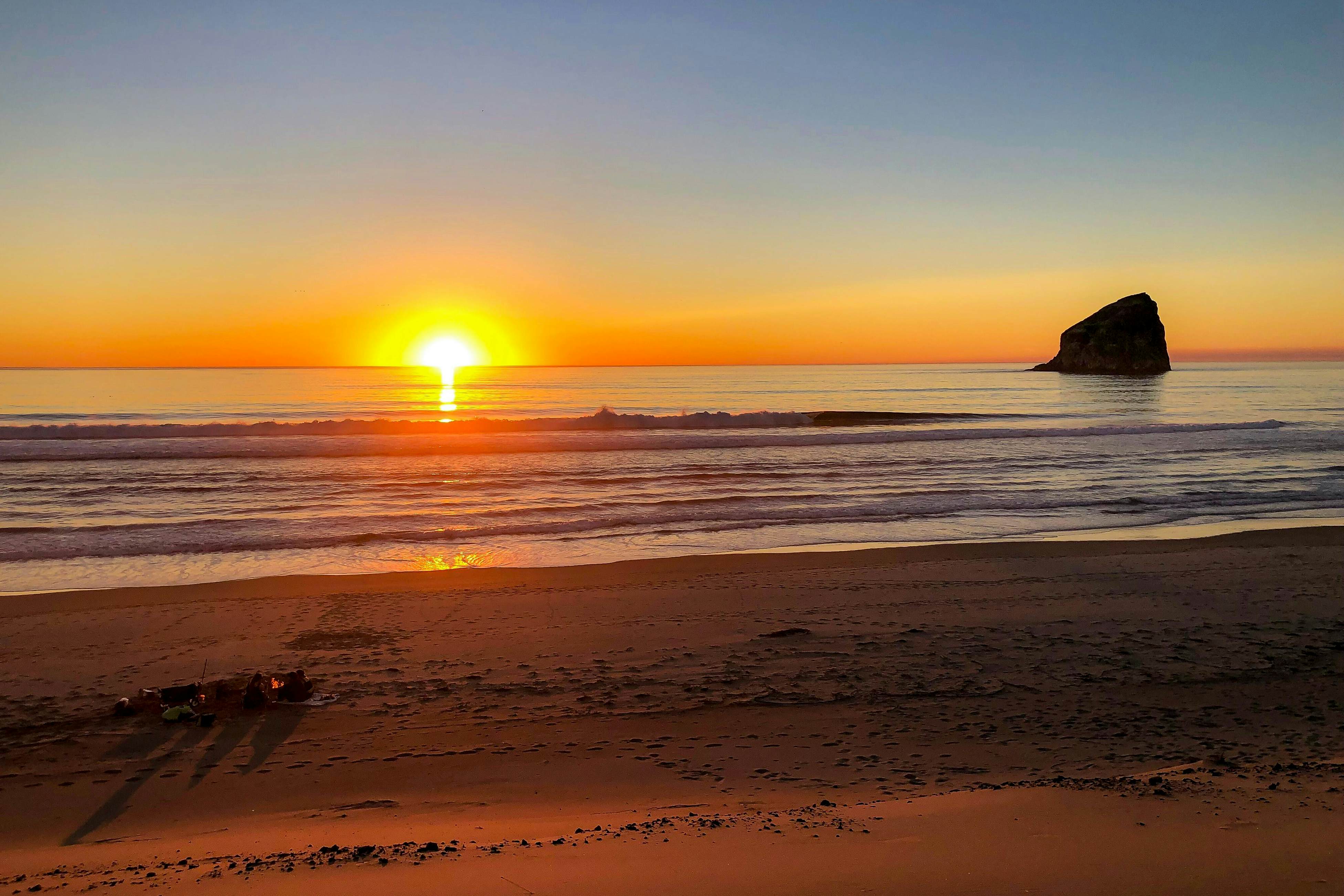 Dog-friendly, brand-new shipping container home, steps from the beach