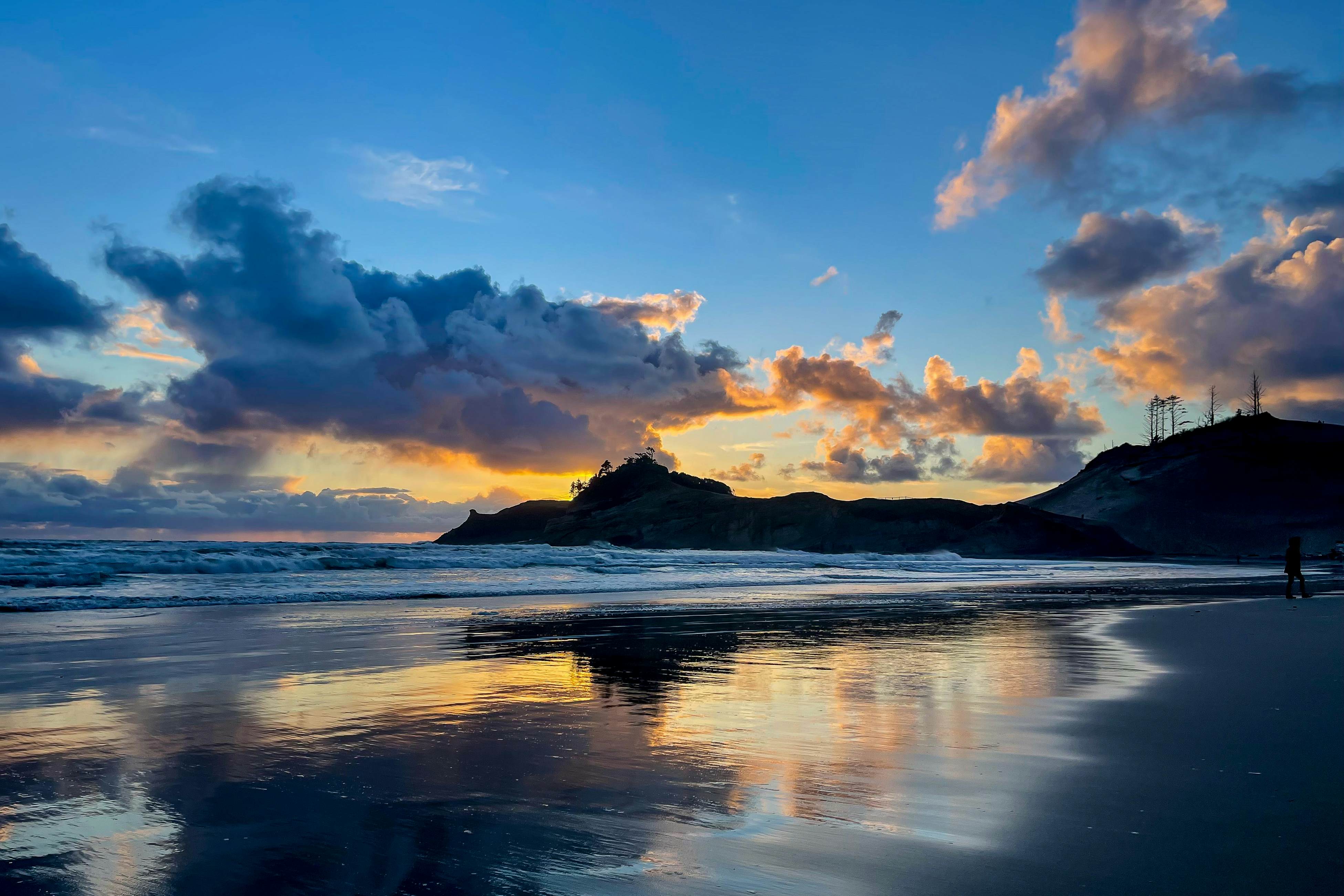 Dog-friendly, brand-new shipping container home, steps from the beach