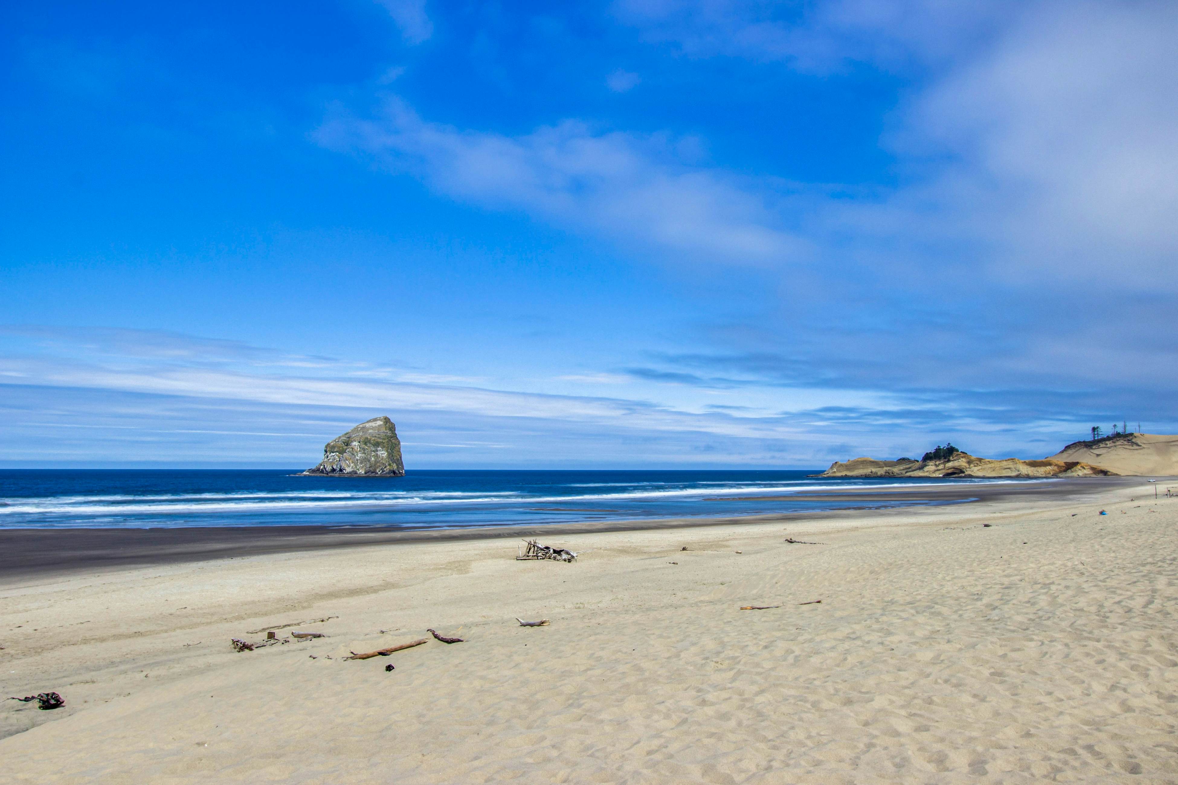 Modern family-friendly beach house, walk to the ocean, with bikes, dogs OK