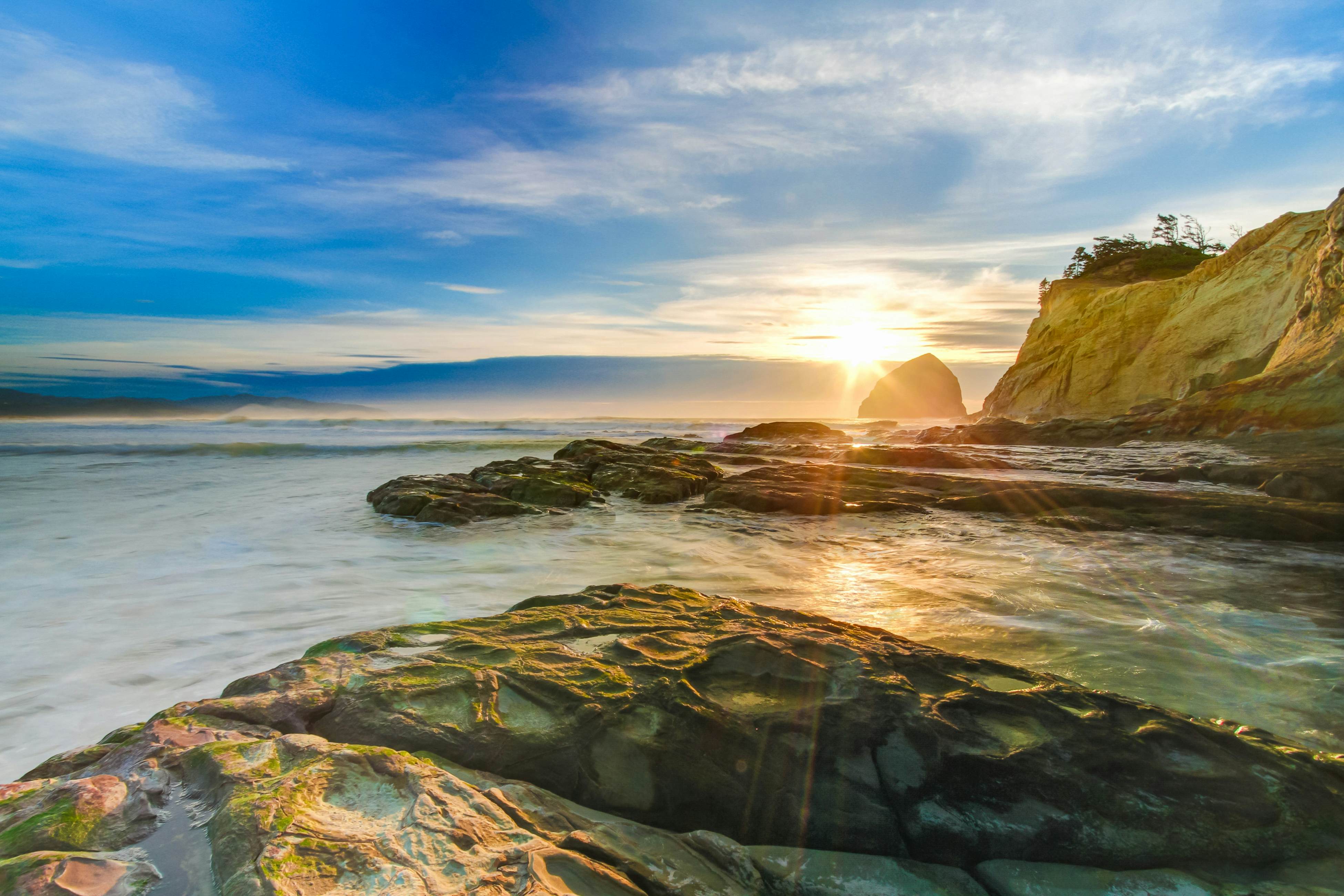 Modern family-friendly beach house, walk to the ocean, with bikes, dogs OK