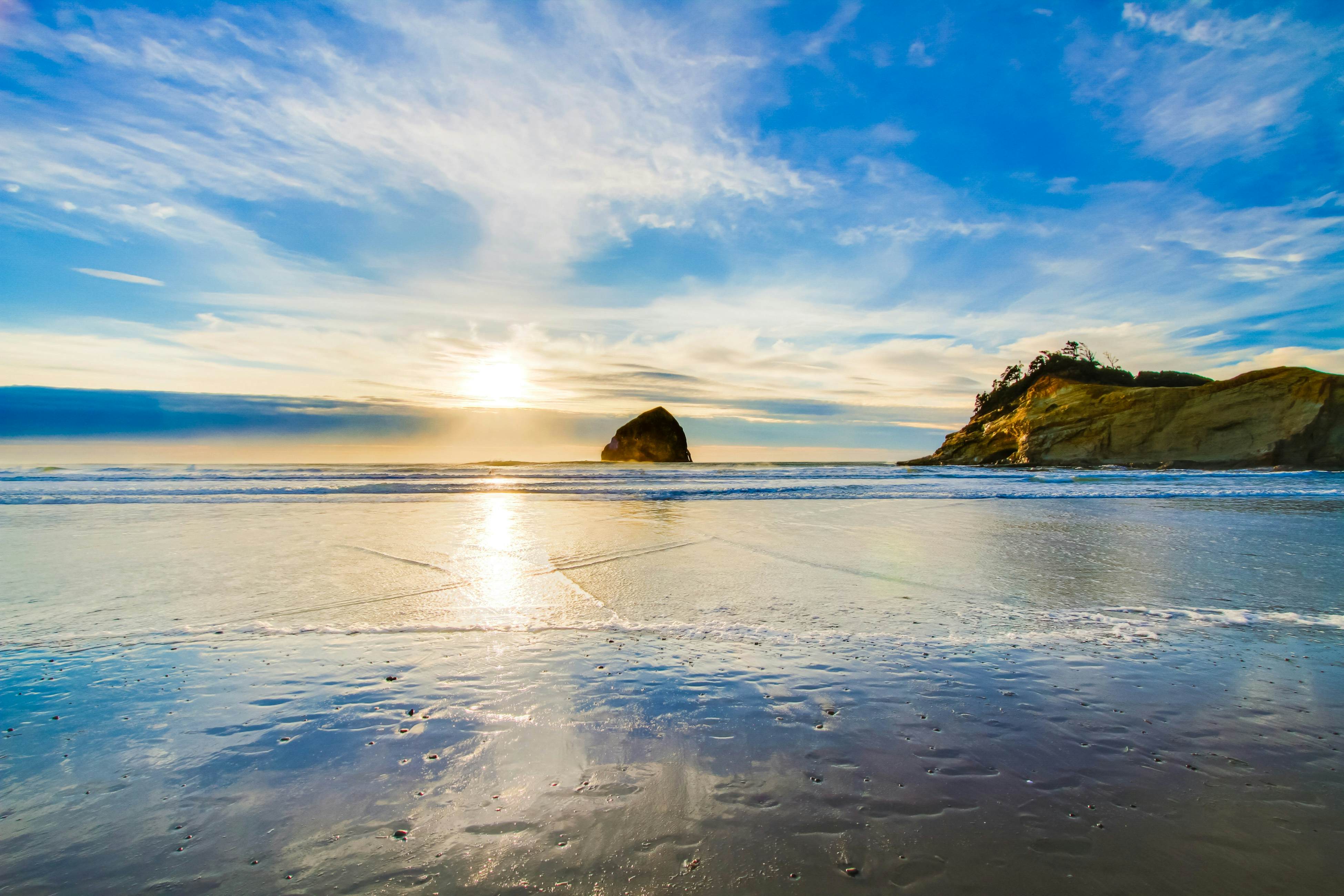 Modern family-friendly beach house, walk to the ocean, with bikes, dogs OK