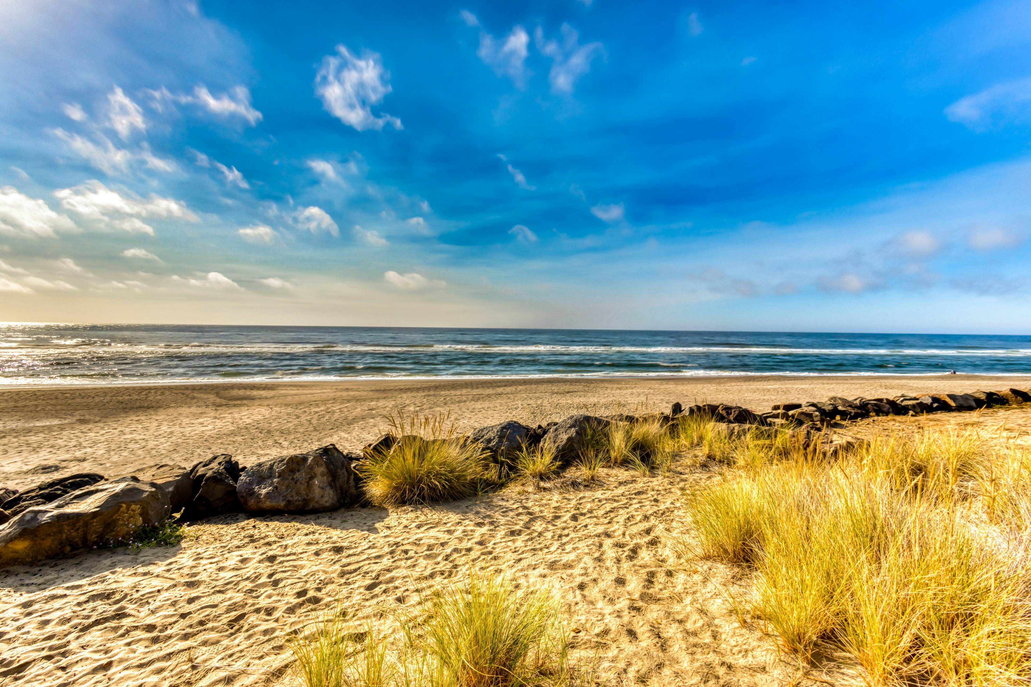 Beachfront home with ocean-view hot tub & wood-burning fireplace - dog-friendly