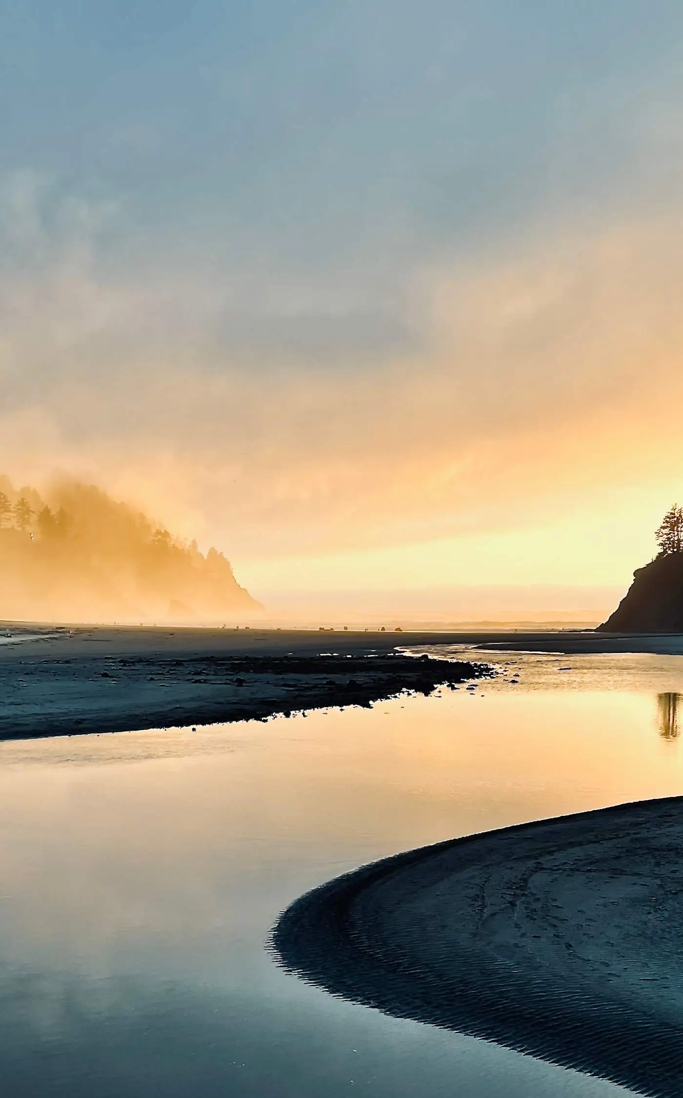 Beachfront dog friendly studio with amazing Proposal Rock view steps to the sand