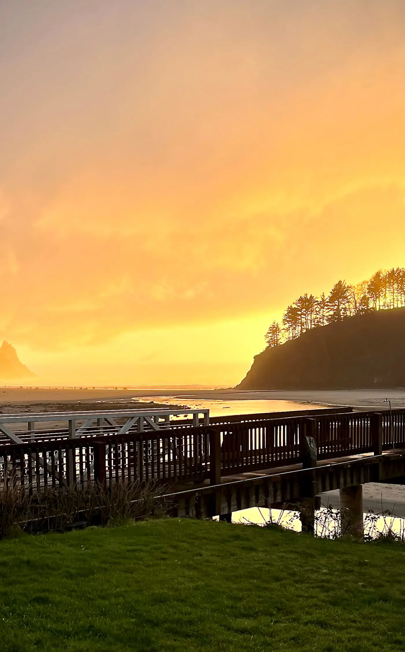 Beachfront dog friendly studio with amazing Proposal Rock view steps to the sand
