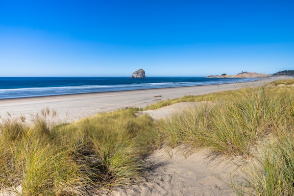 Beautiful oceanfront home with a gorgeous view
