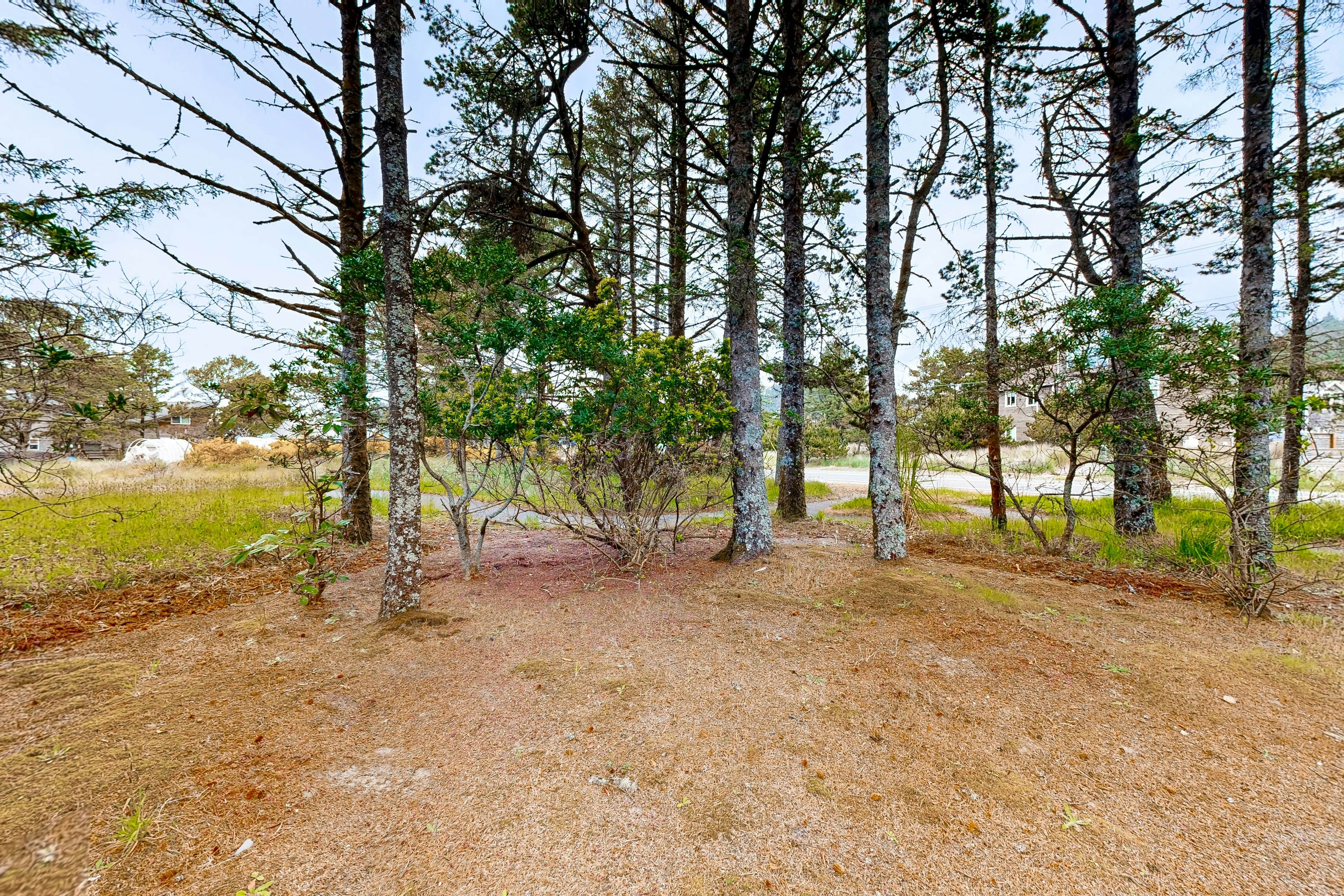 Modern, two-story, dog-friendly home located close to beaches & trails