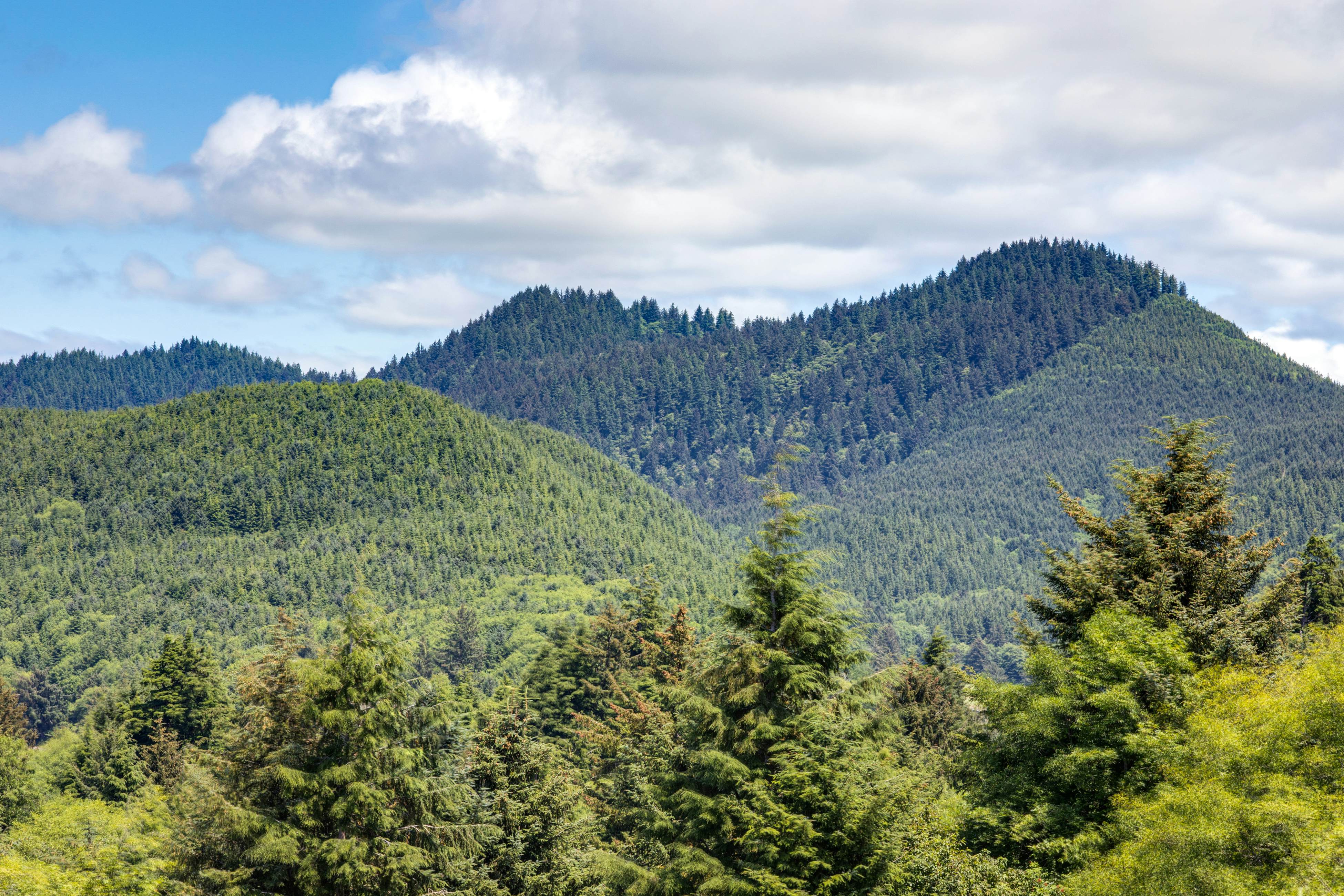 Bright & open hillside home with sprawling ocean views