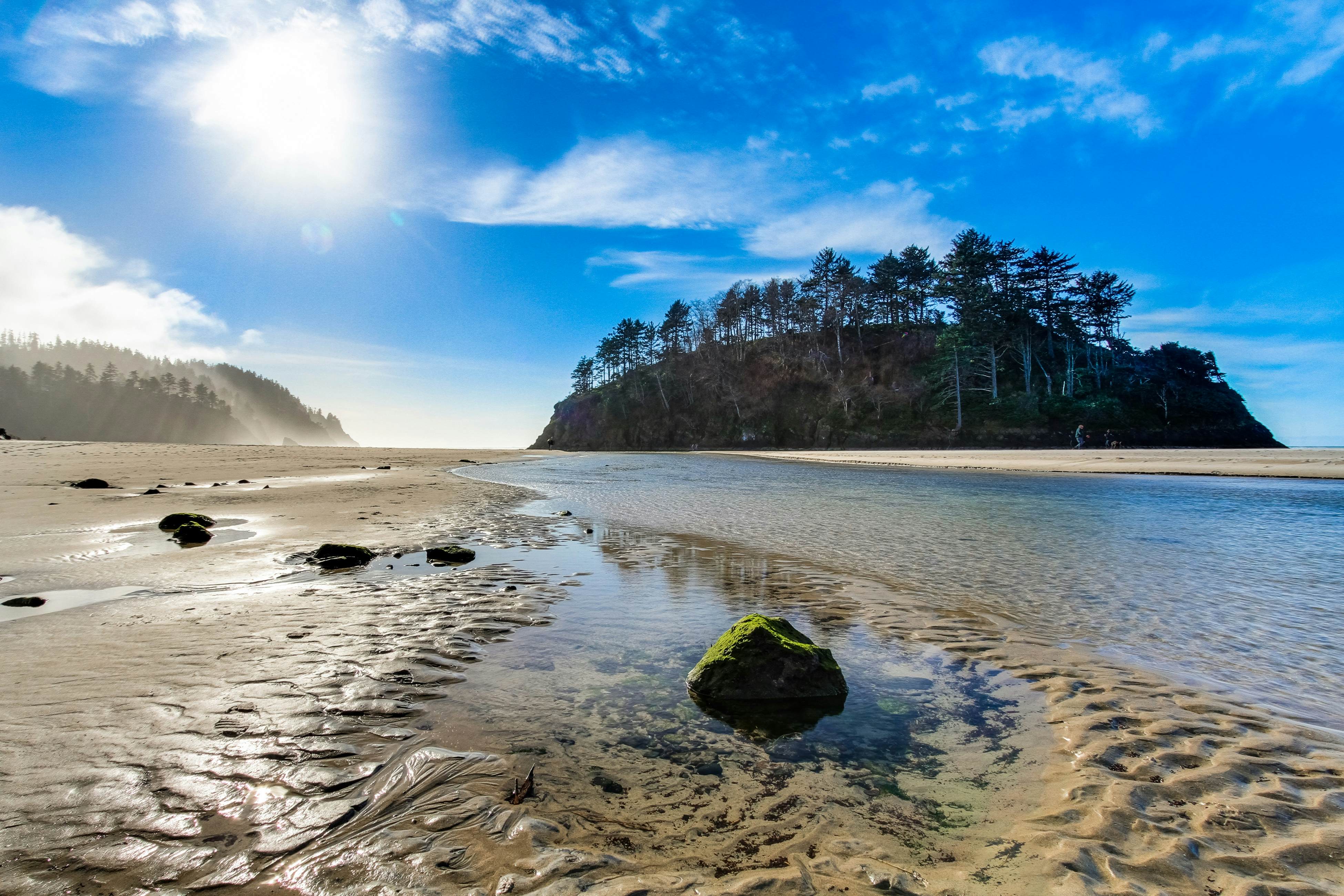 Modern and Colorful Dog-Friendly Condo Right Next to Beach