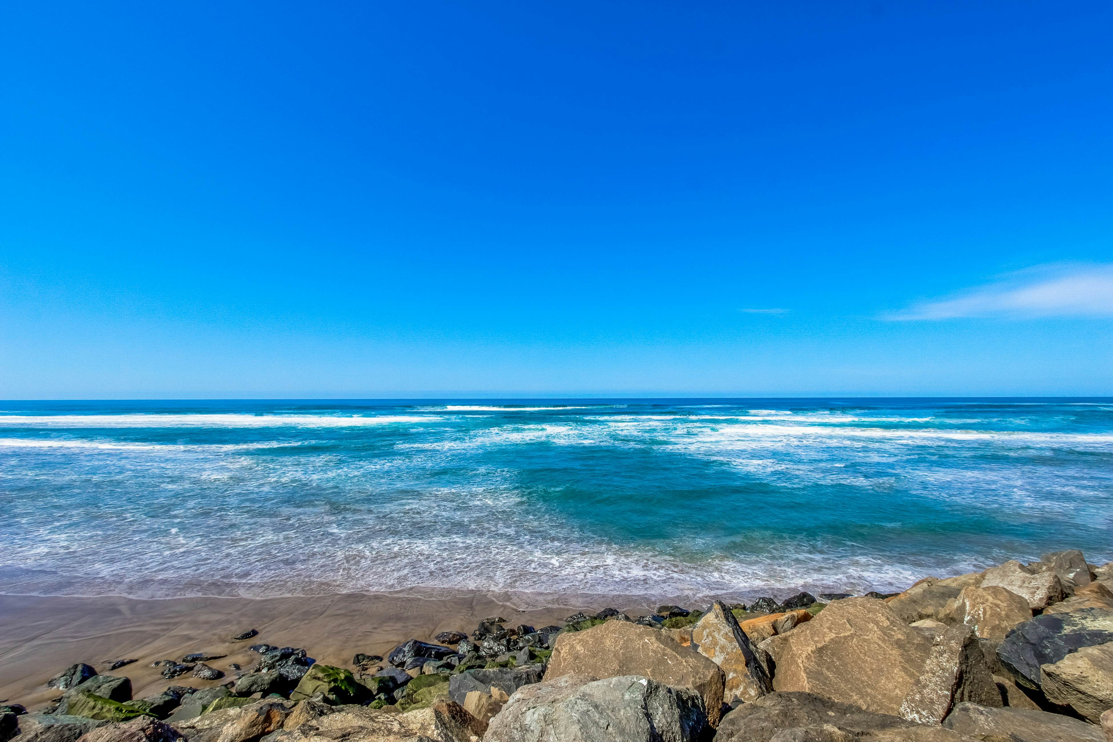 Modern and Colorful Dog-Friendly Condo Right Next to Beach
