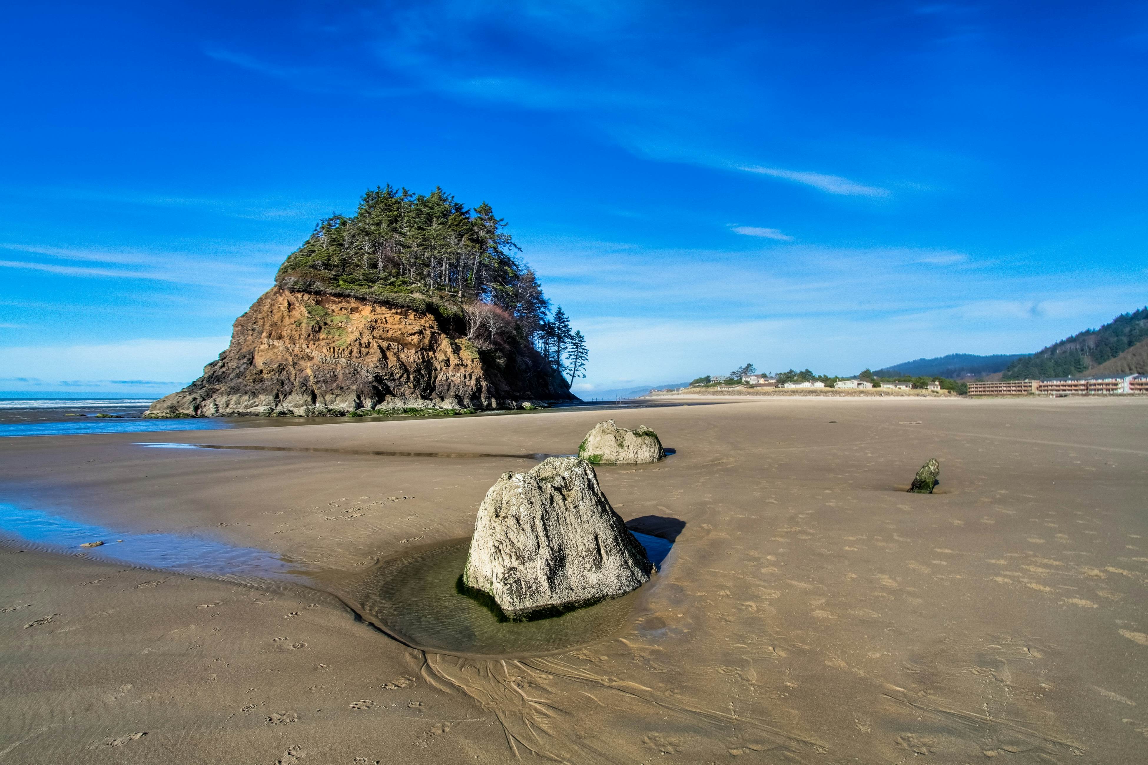 Modern and Colorful Dog-Friendly Condo Right Next to Beach