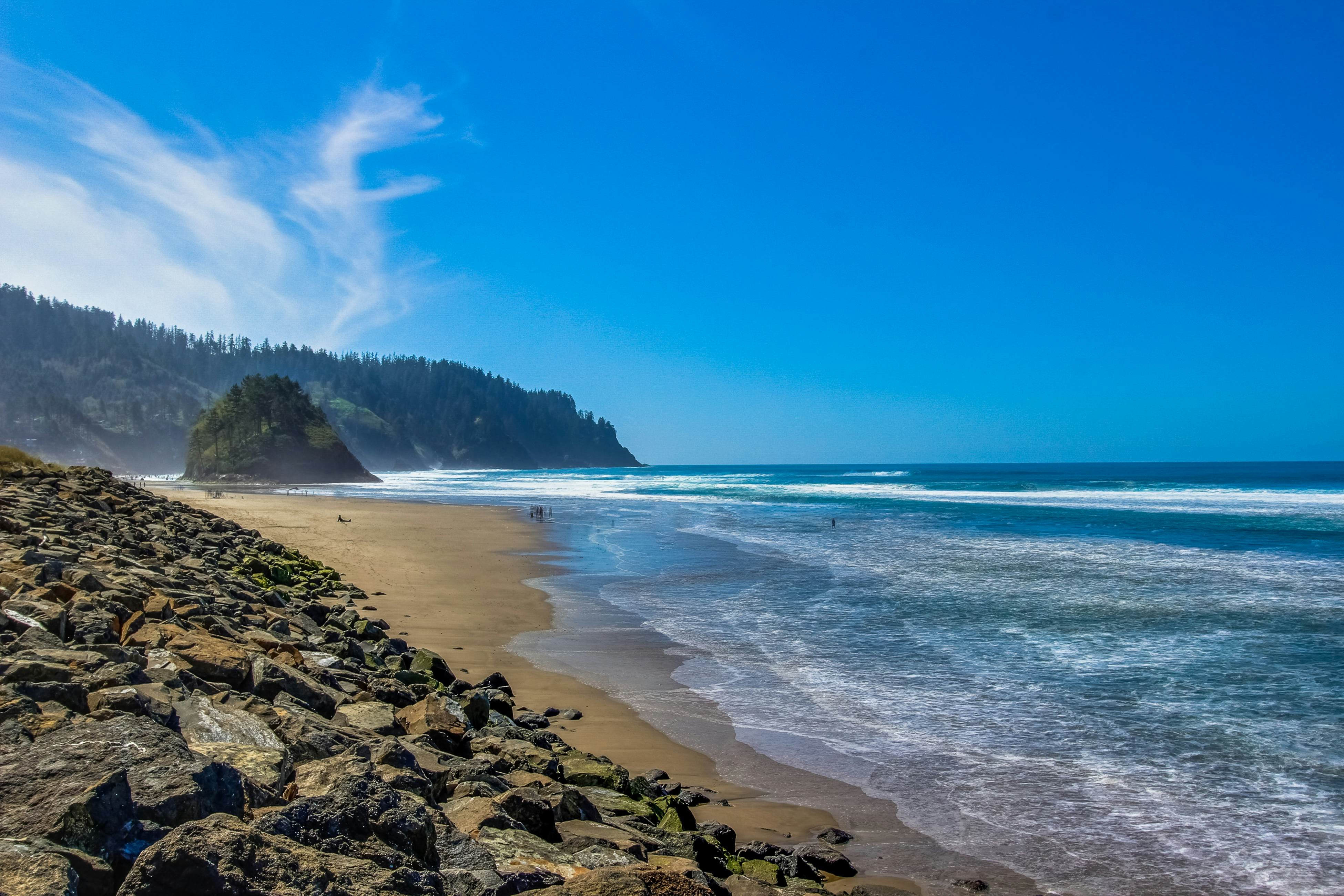 Modern and Colorful Dog-Friendly Condo Right Next to Beach