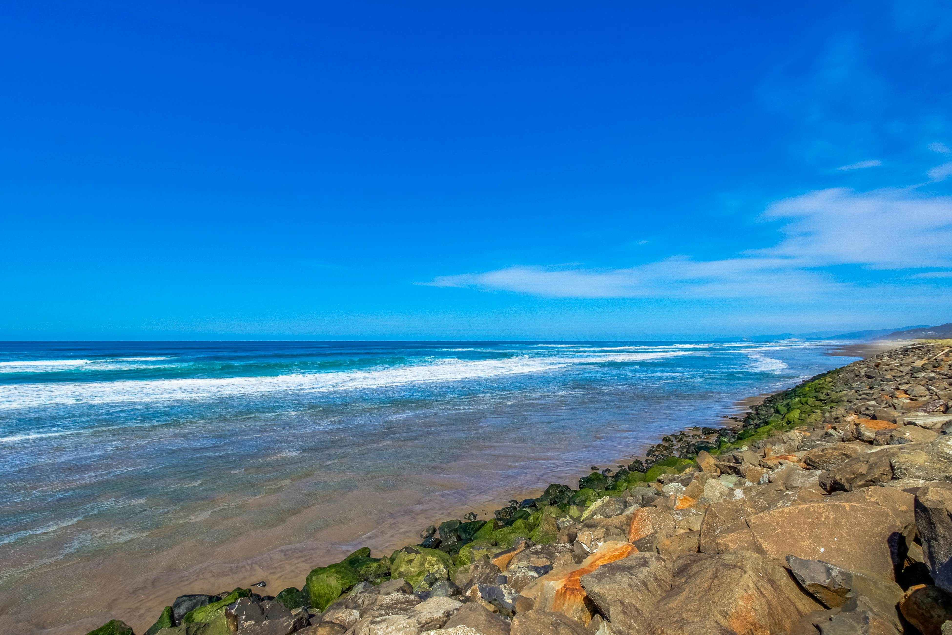 Modern and Colorful Dog-Friendly Condo Right Next to Beach