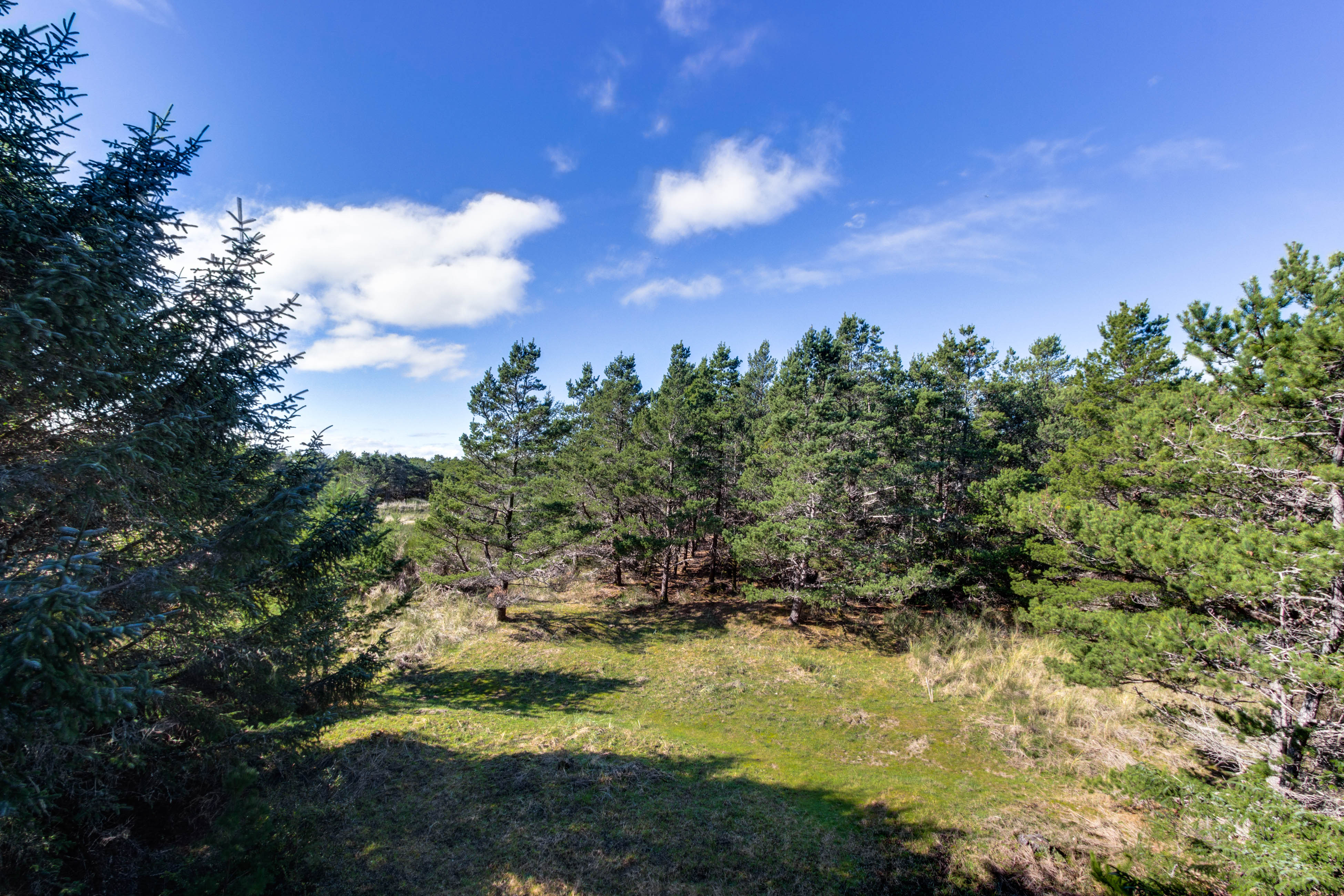 Serene home with entertainment full kitchen and easy beach access