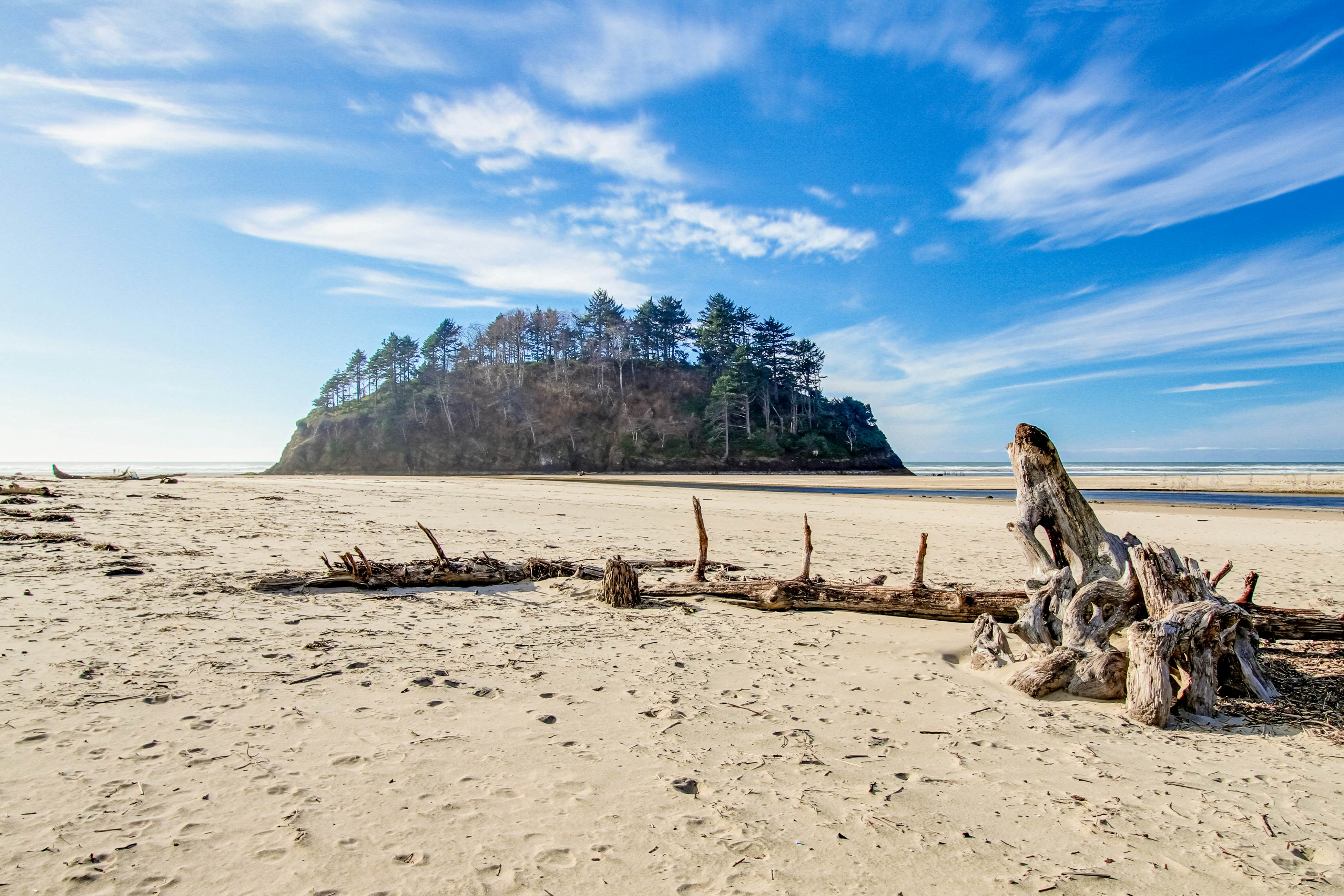 Dog-friendly oceanfront condo with beach access & Proposal Rock view