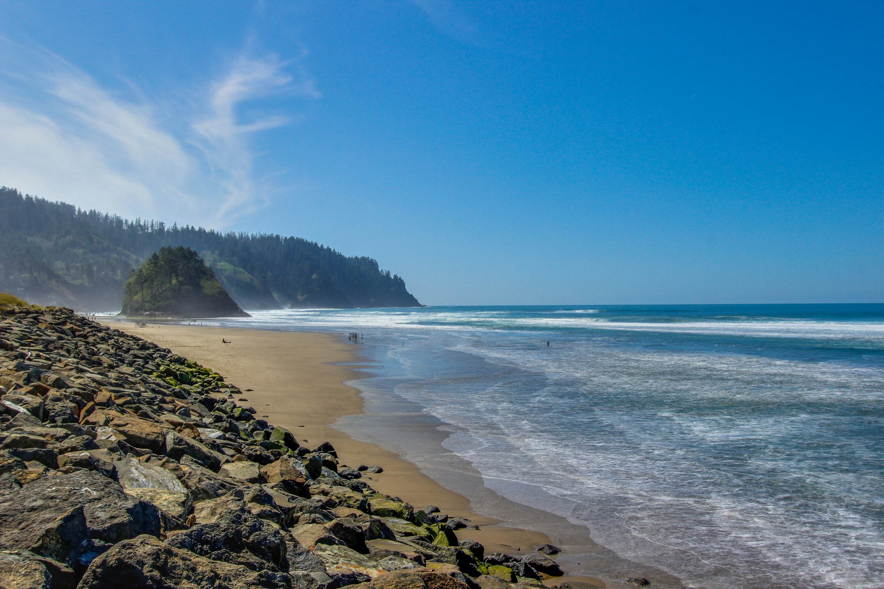 Dog-friendly oceanfront condo with amazing ocean views - steps to beach