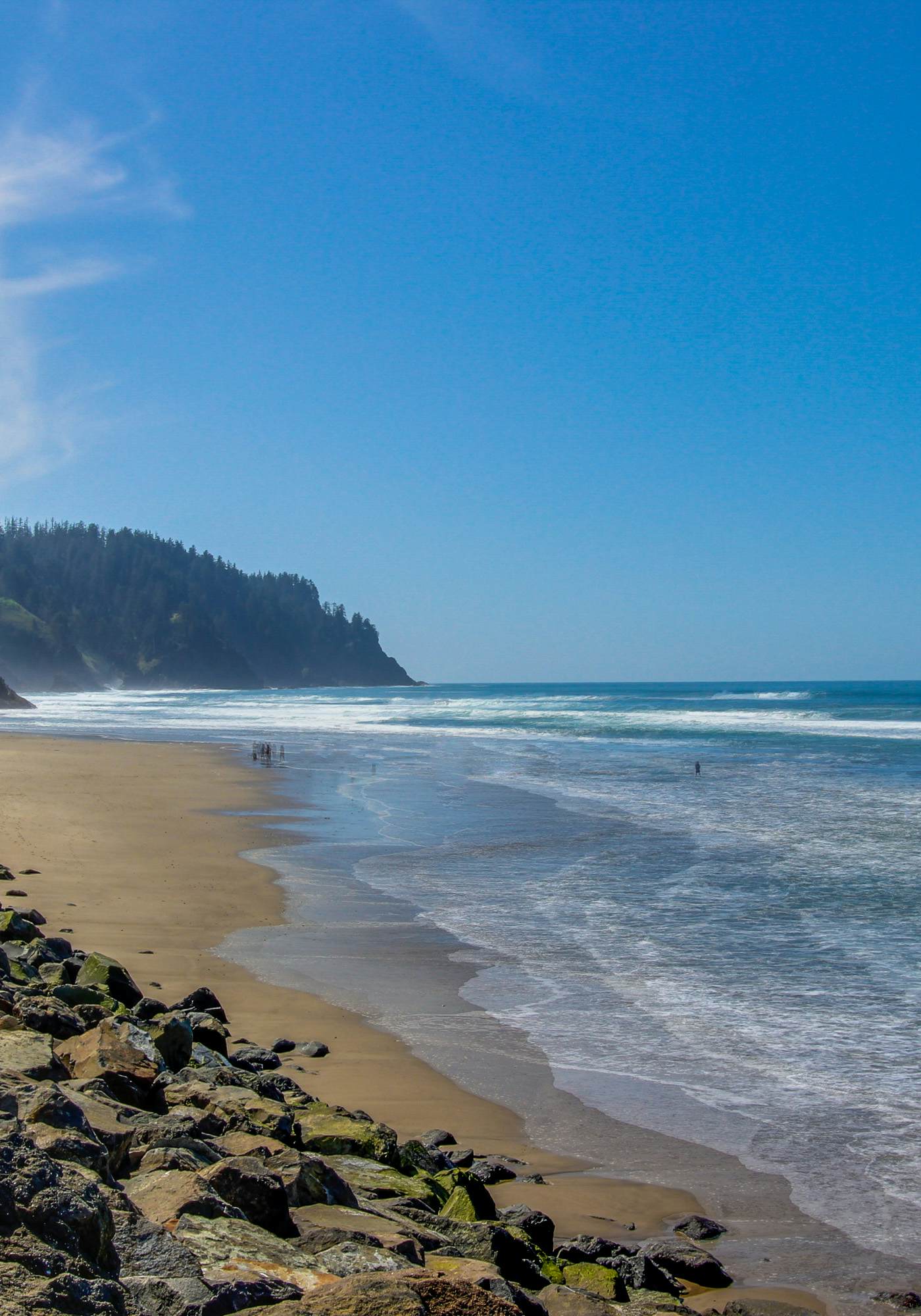 Dog friendly oceanfront condo with amazing ocean views steps to beach