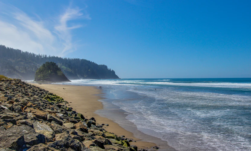 Dog friendly oceanfront condo with amazing ocean views steps to beach